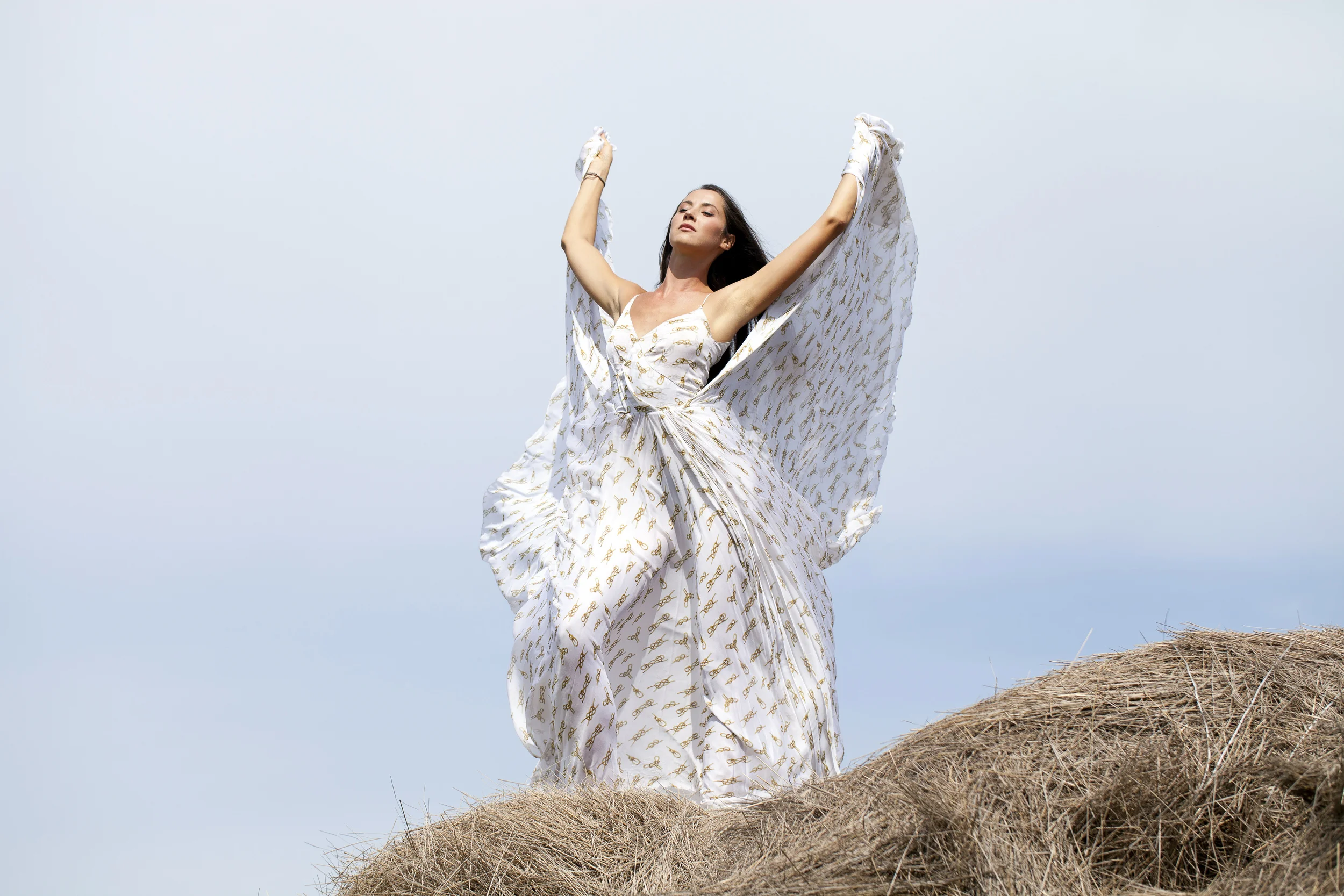 Understanding & Healing The Shadow Money Martyr