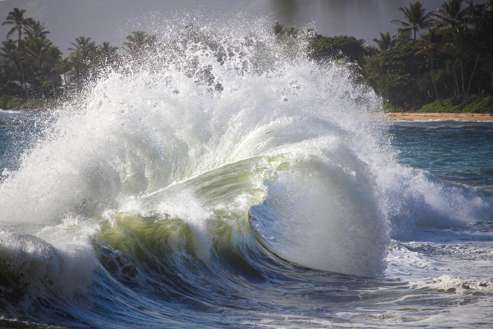 IMG_3237 (L226,-20, CR E0.35,H-50,W40,V50).jpg