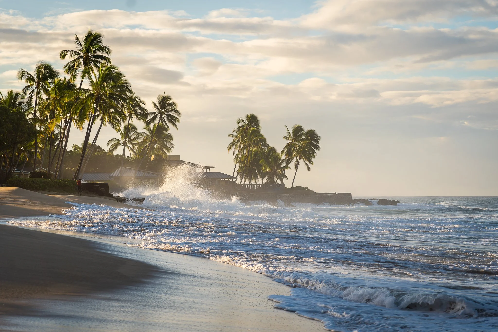 Makaha Mornings