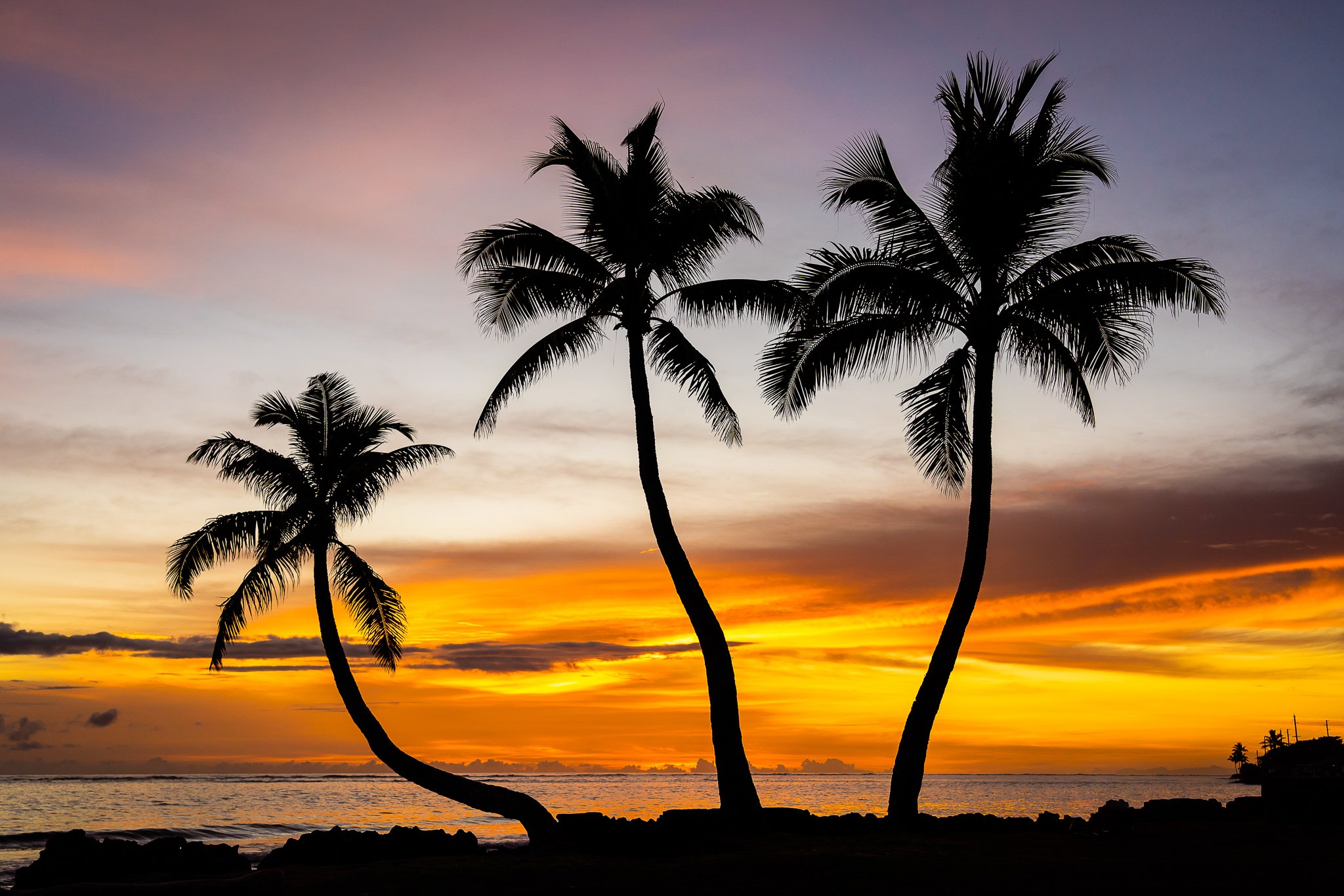 Sunrise for Three