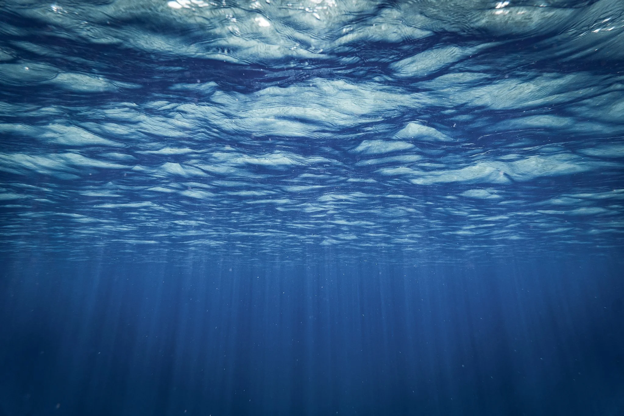 Into the Blue