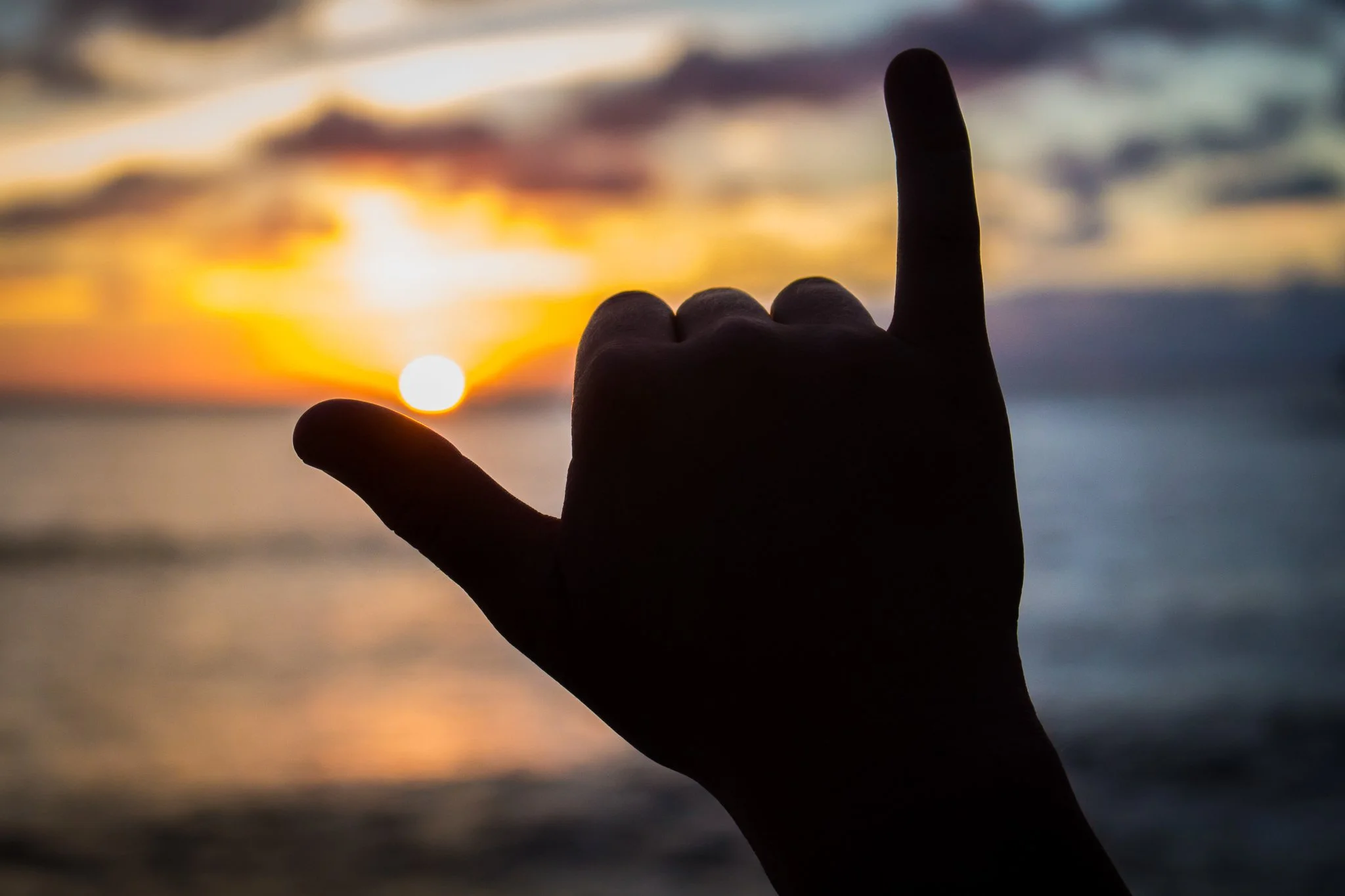 Aloha Forever