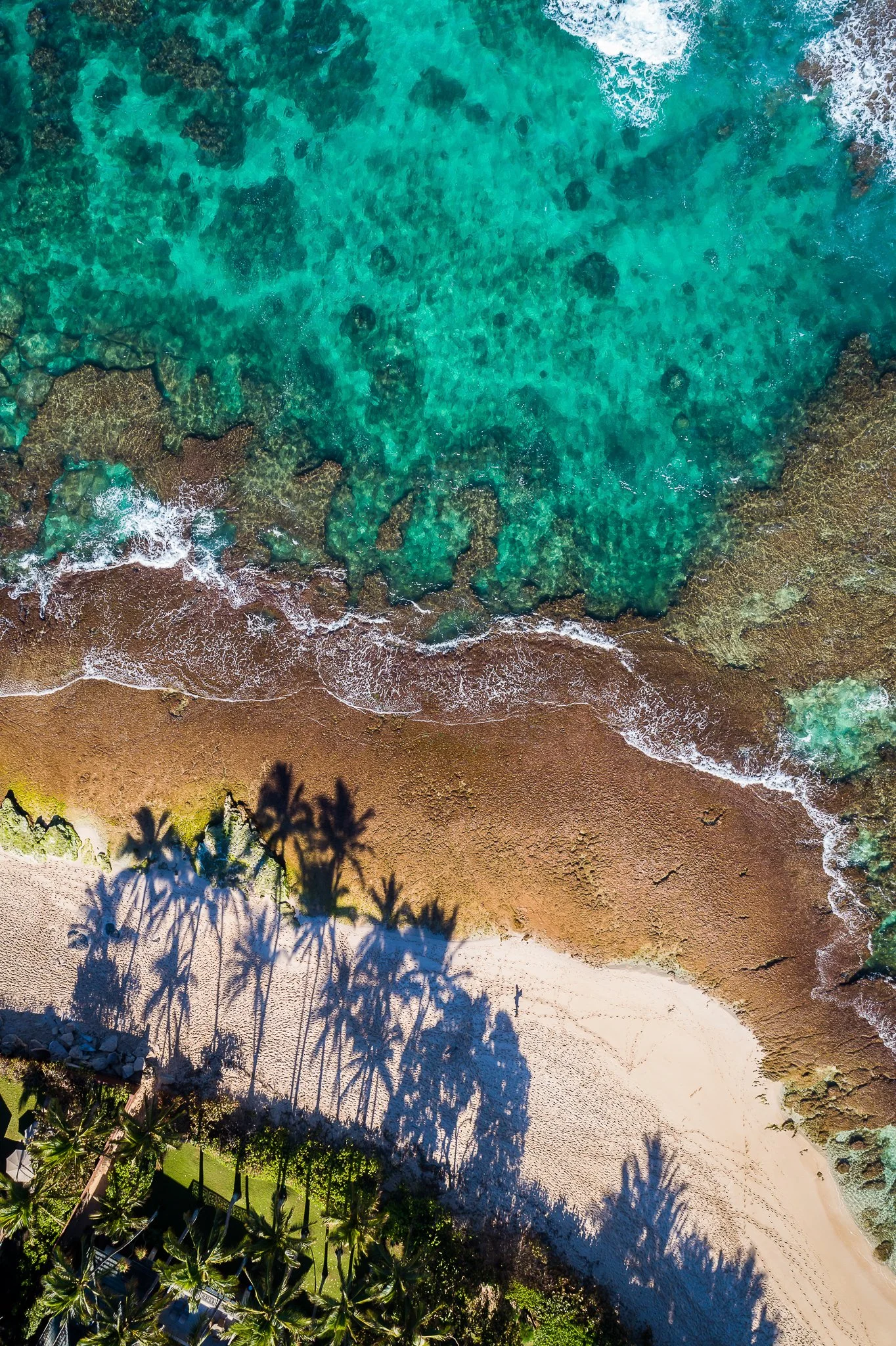 Paradise Bend
