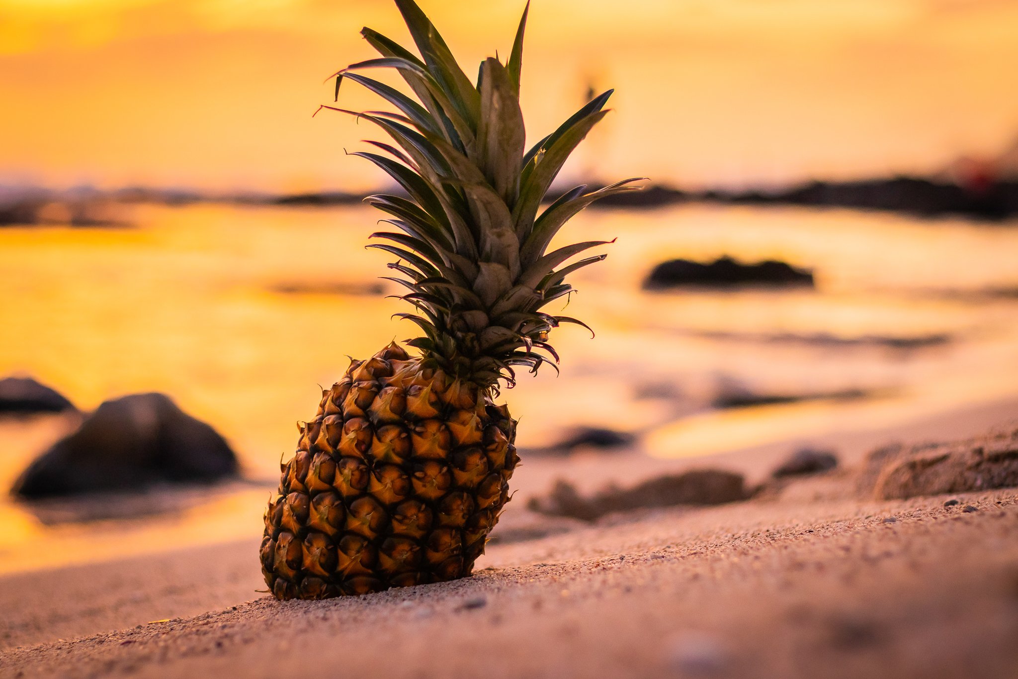 Pineapple Punch