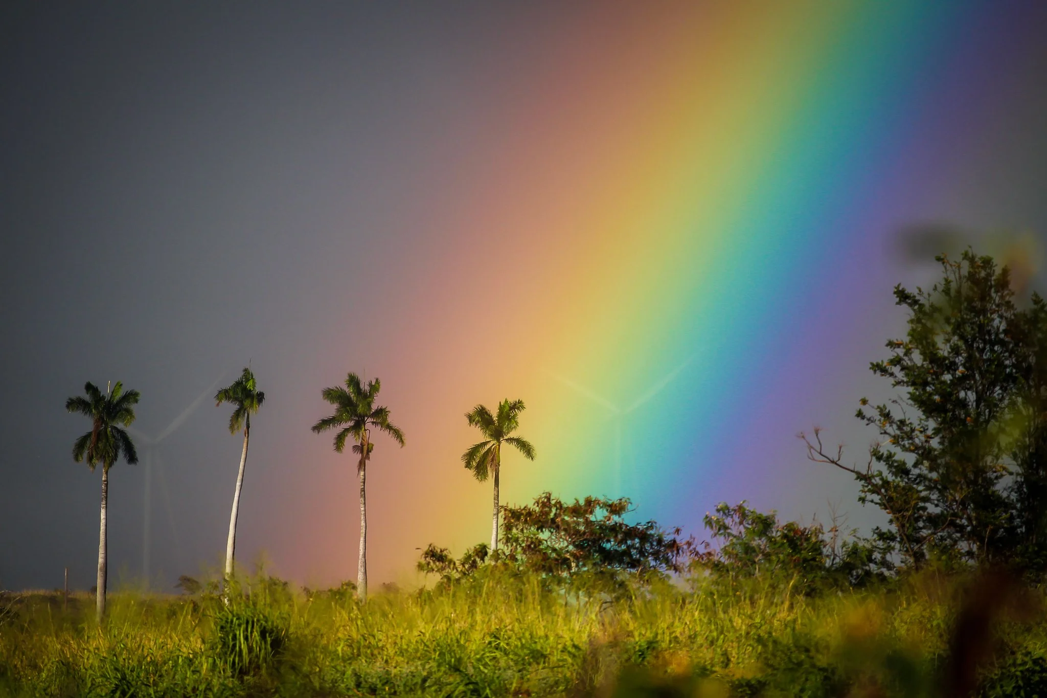 Rainbow Country