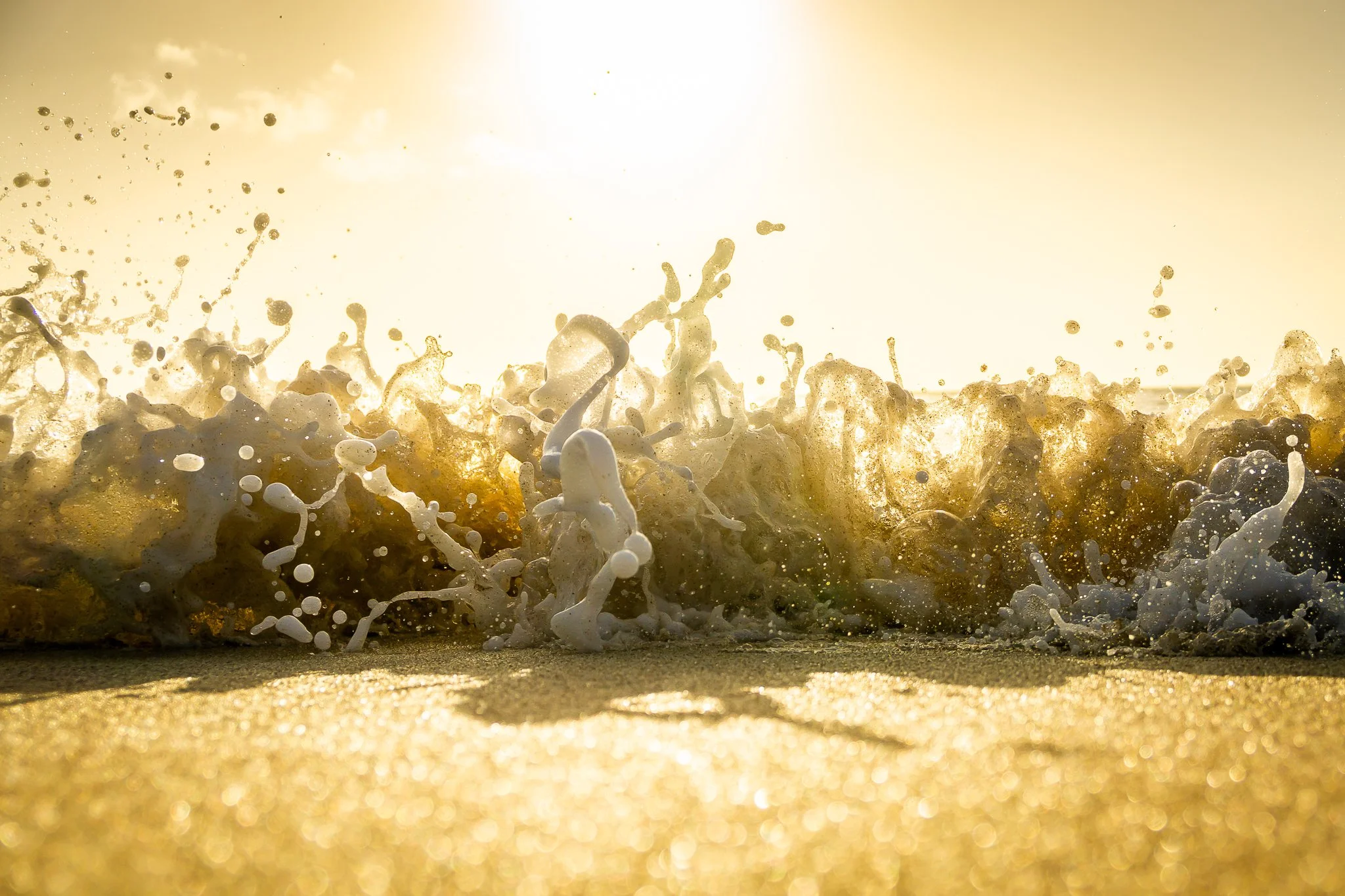 Sun Splatter