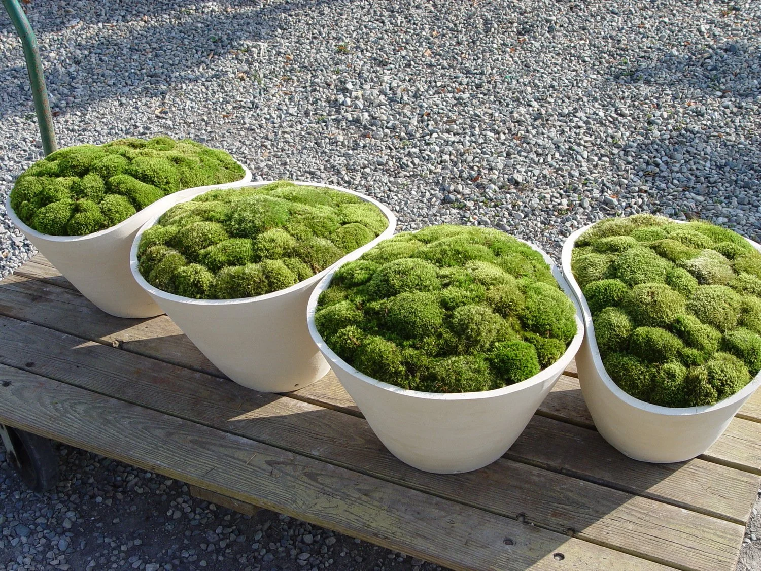 cynthia-randolph-ceramic-pots-san-francisco.jpg