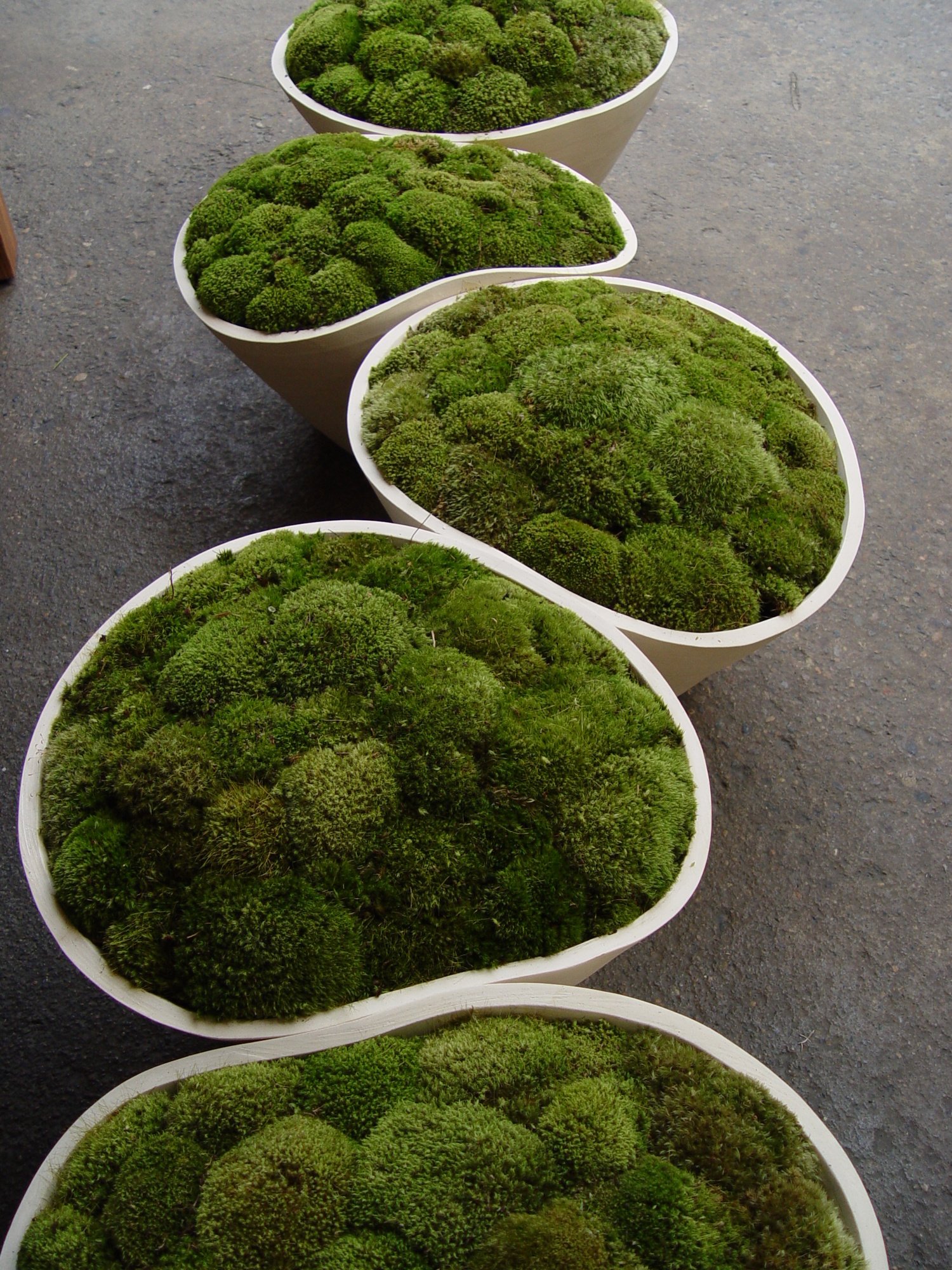 cynthia-randolph-ceramic-pots-san-francisco.jpg