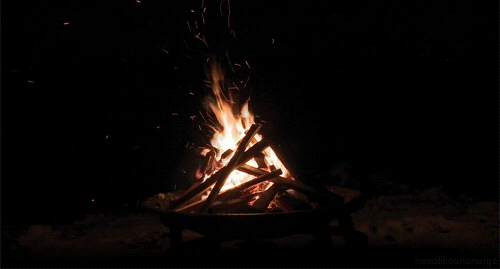 giphy-1.gif