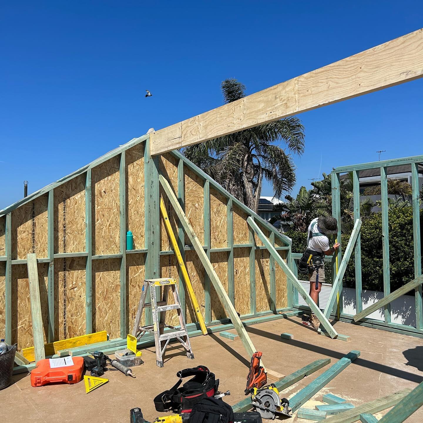 The lads are making steady progress on this granny flat extension at our Clovelly site