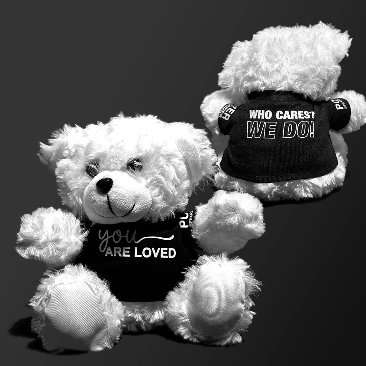 PSL Hugs Bear Cover.jpg