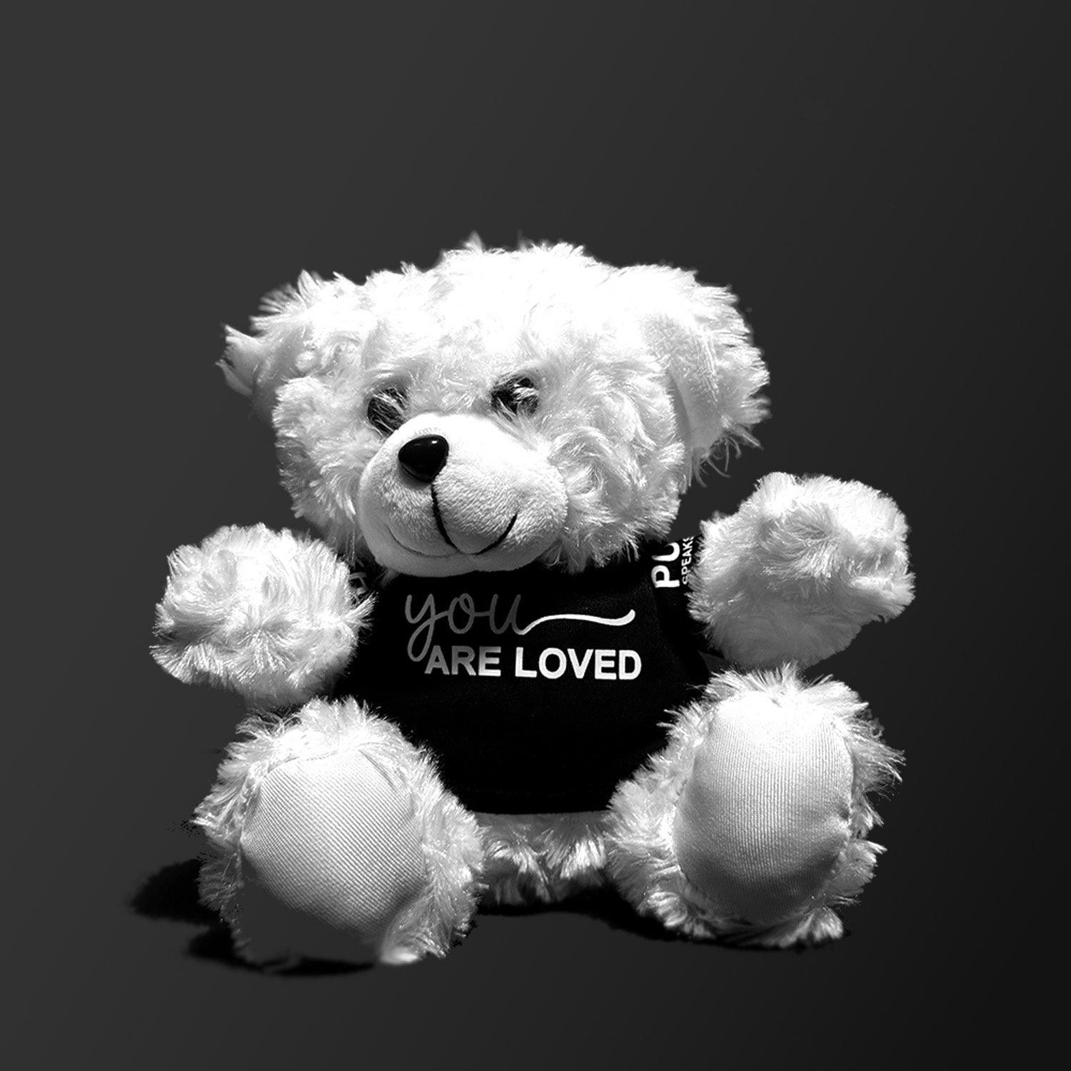 PSL Hugs Bear_Front.jpg