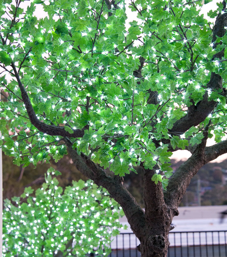 04-Maple-Green-Leaf.jpg