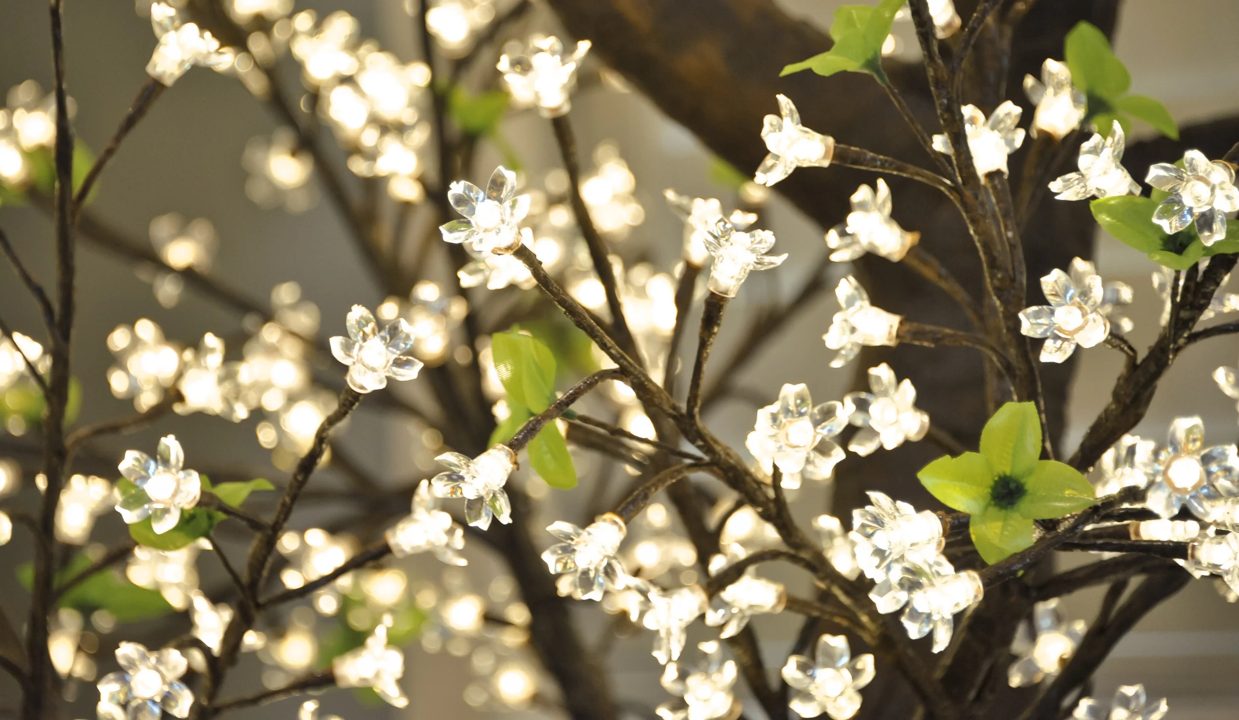 WBT-880 1.8m NatT WW P11 5.jpg