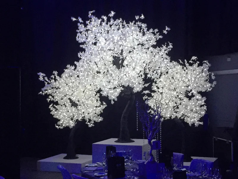 Save our Sons Charity Event, Luna Park