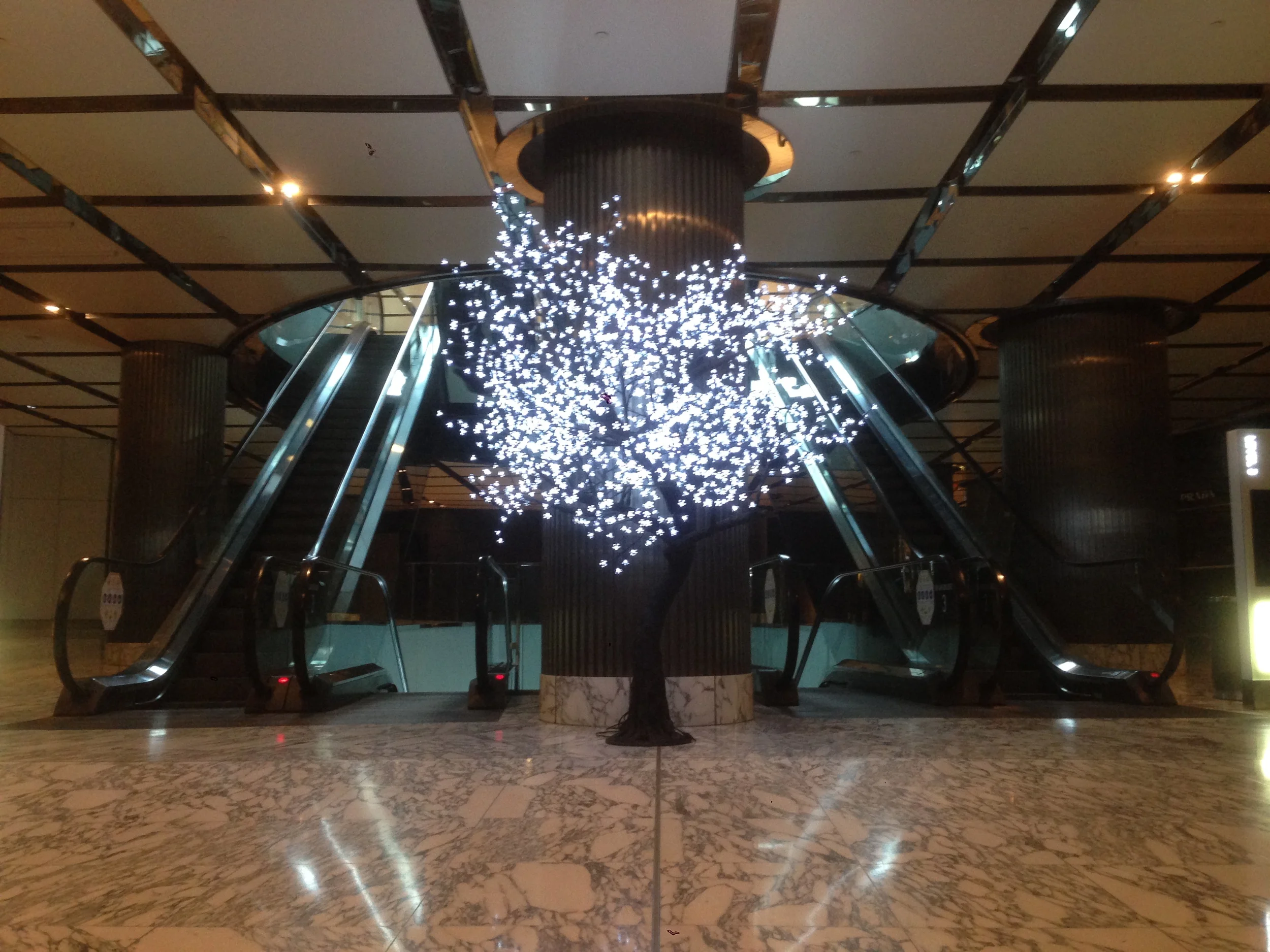 Avatree at Westfield’s Winter Food Festival