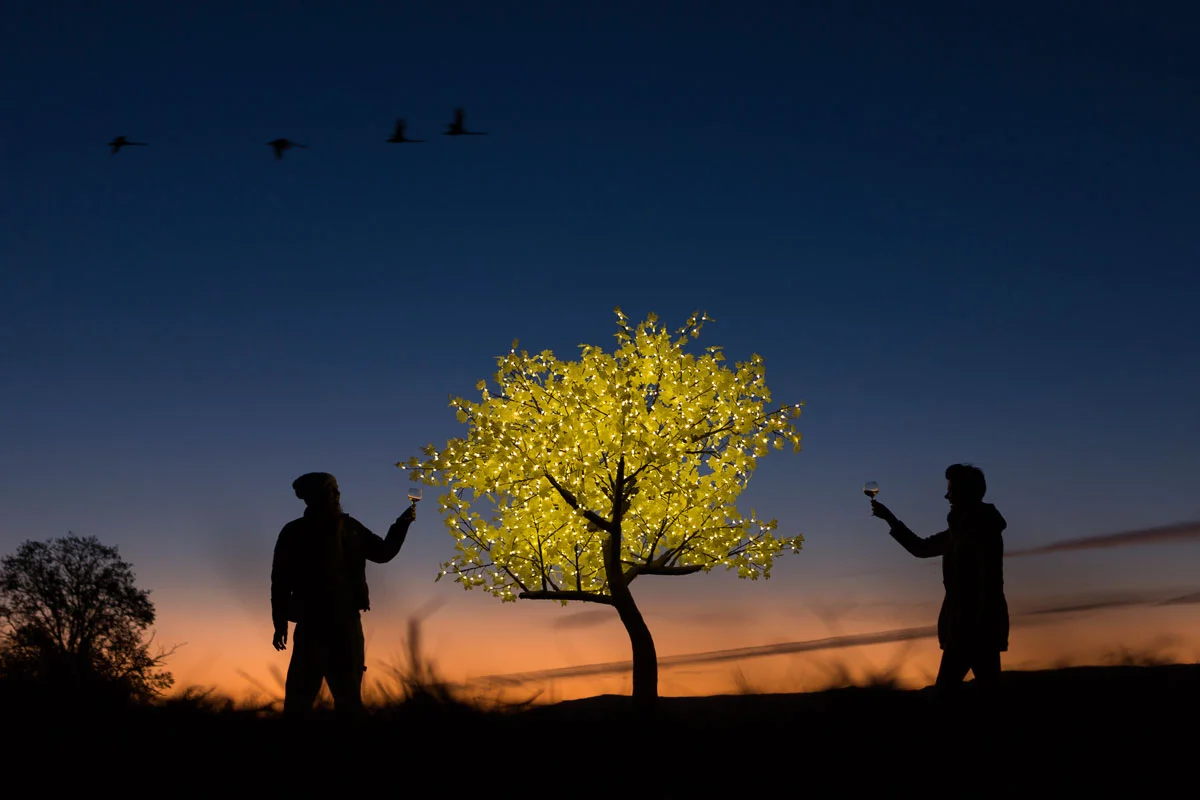 AVATREE-240.jpg