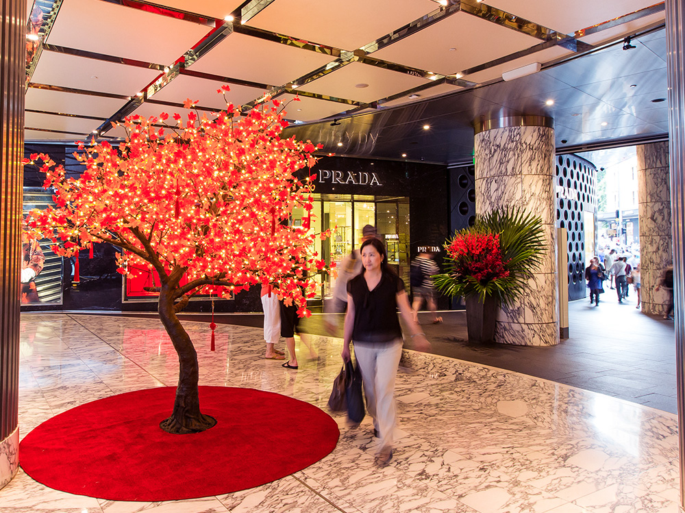 Westfield-CNY2016-31.jpg