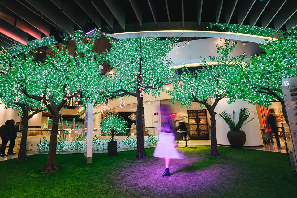 Avatree creates an enchanted garden for Westfield's VIVID 2016 installation