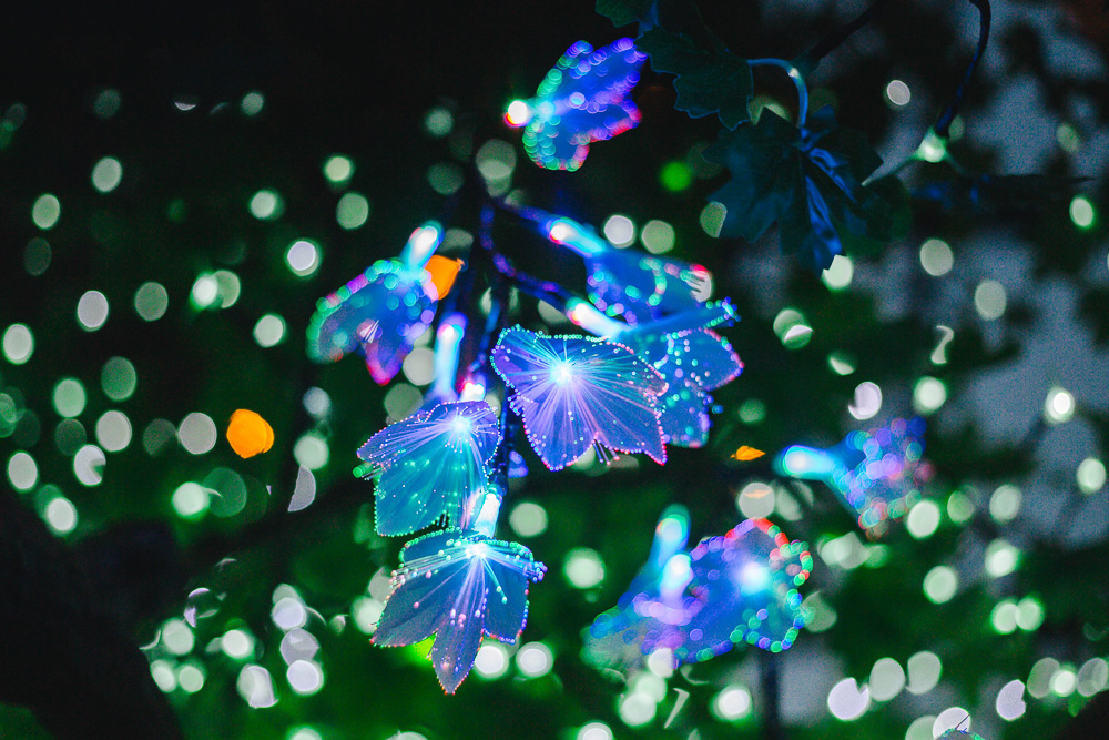 Westfield Sydney's Enchanted Garden Vivid Installation. Photo courtesy of Westfield Sydney. Image by James Ambrose.