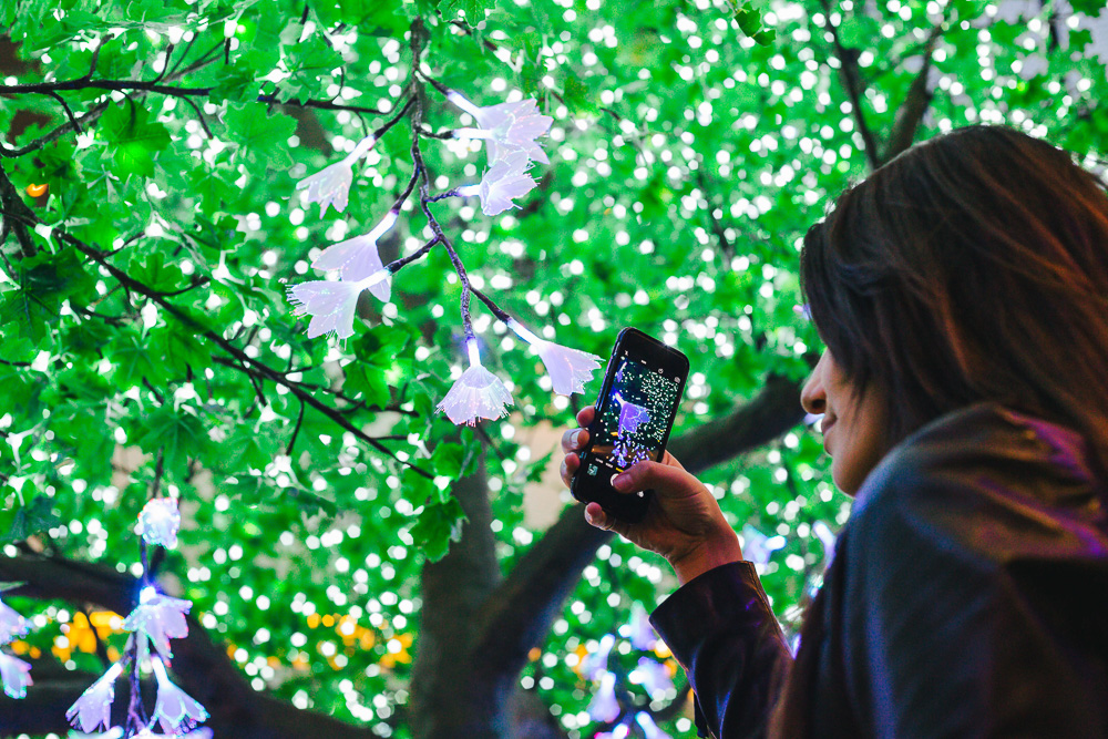 Westfield Sydney's Enchanted Garden Vivid Installation. Photo courtesy of Westfield Sydney. Image by James Ambrose.