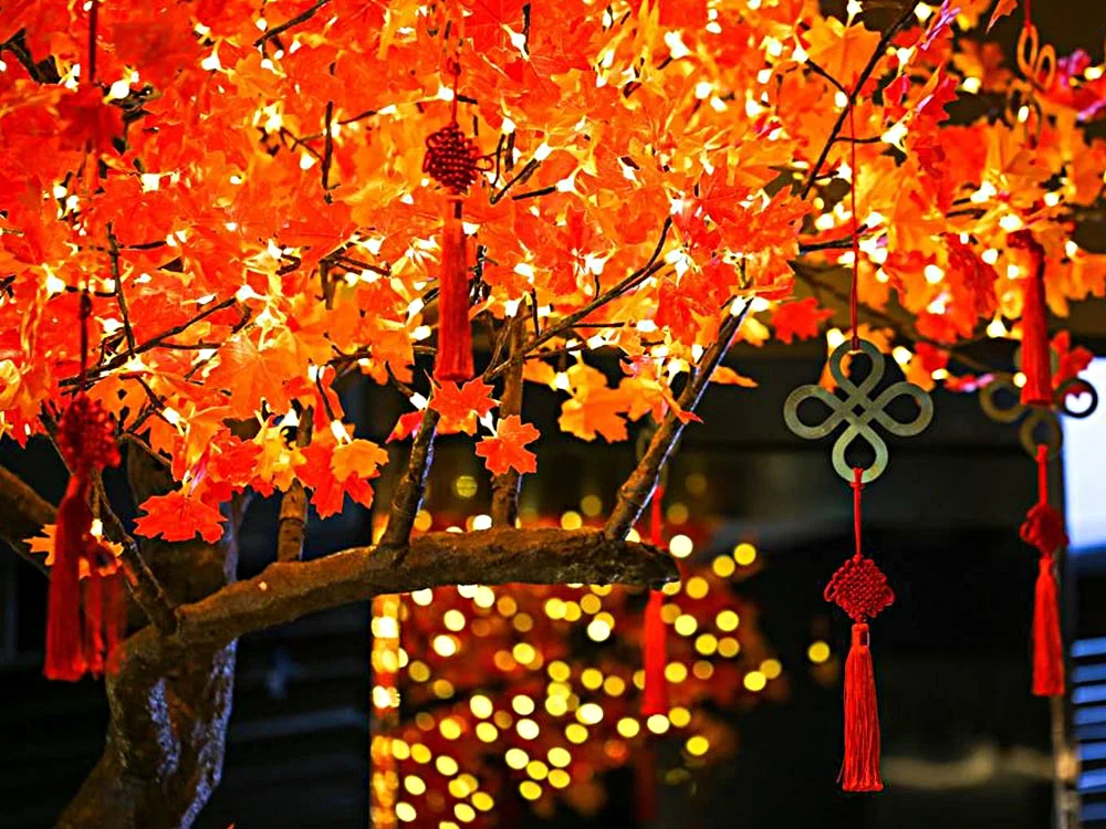 Sydney comes alive for Lunar New Year 2017