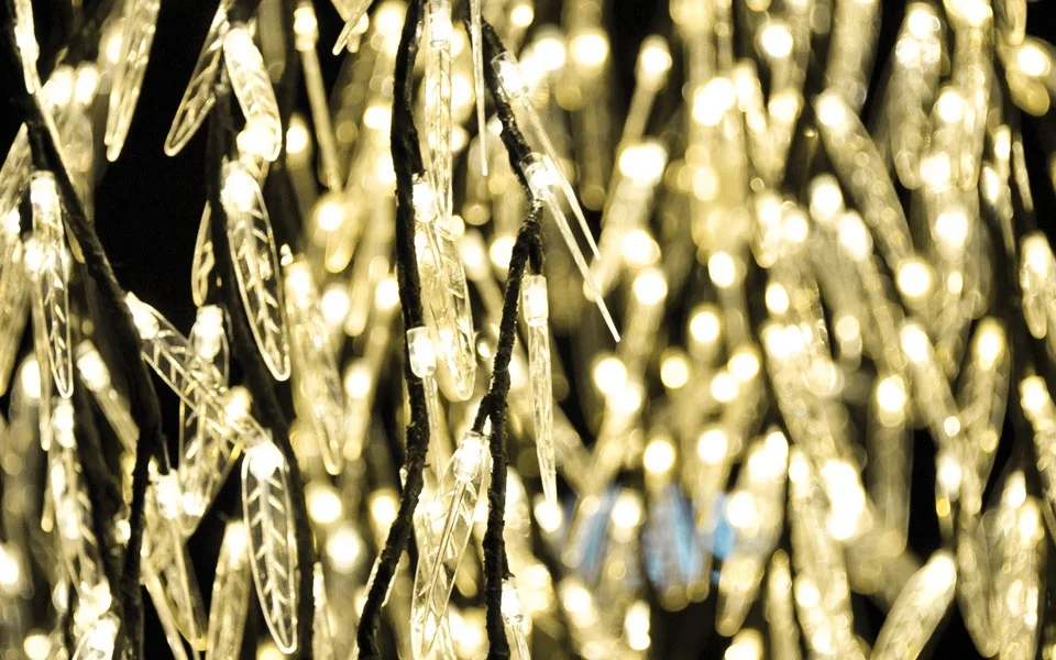 Willow-Warm-White-LEDs.jpg