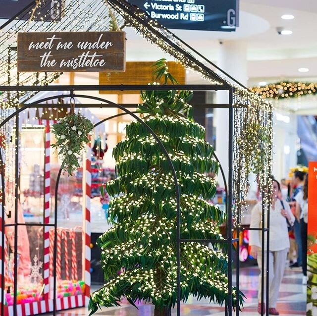 Regram of @westfieldburwoods beautiful mistletoe house complete with 1000s of fairy lights for that extra christmas sparkle 🌟⁠
⁠
⁠
⁠
#avatree #avatreelightinstallations #avatreelightrees #avatreecustom #avatreecustominstallations ⁠
#avatree #avatree