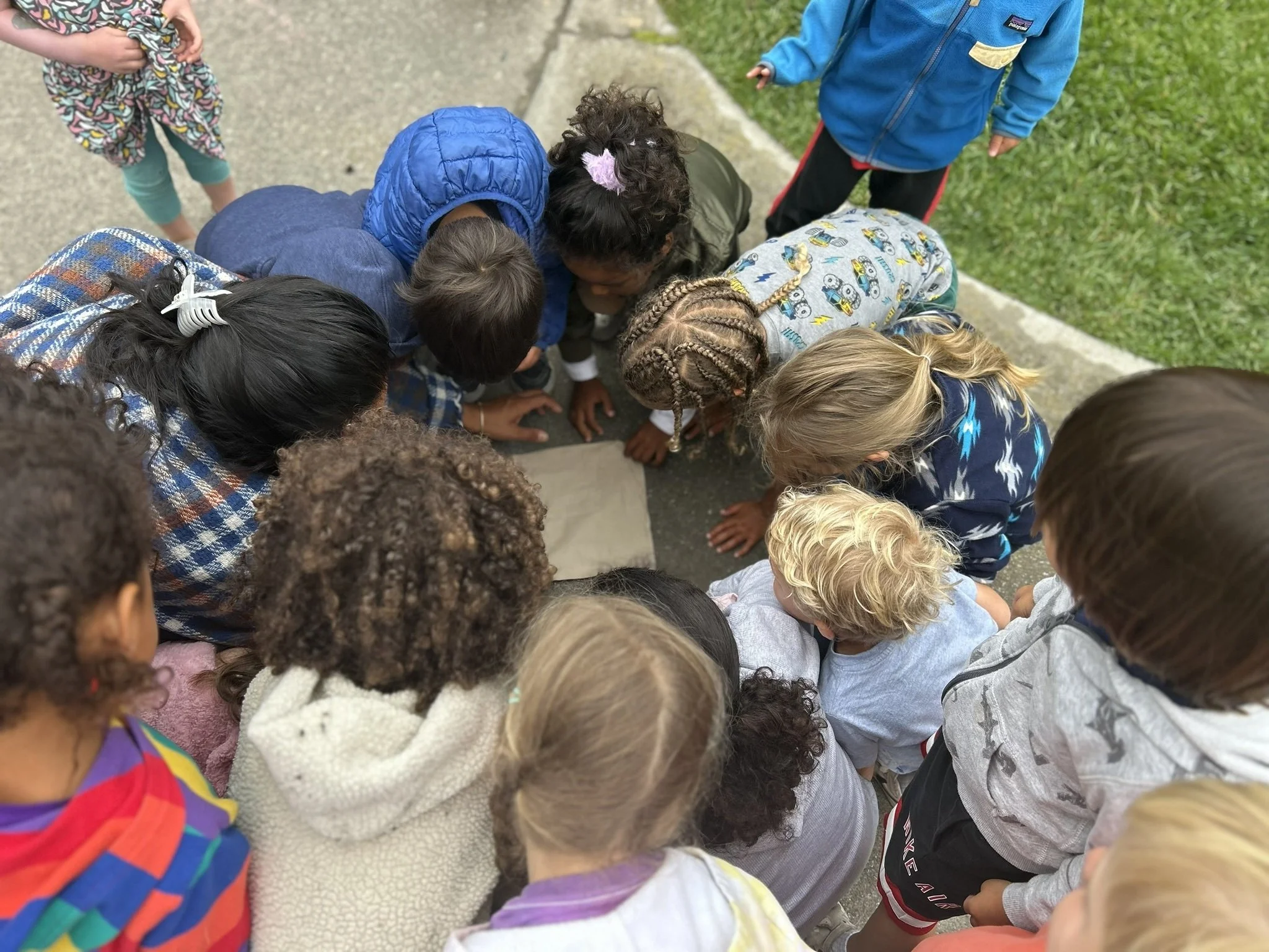 worm rescue.JPEG