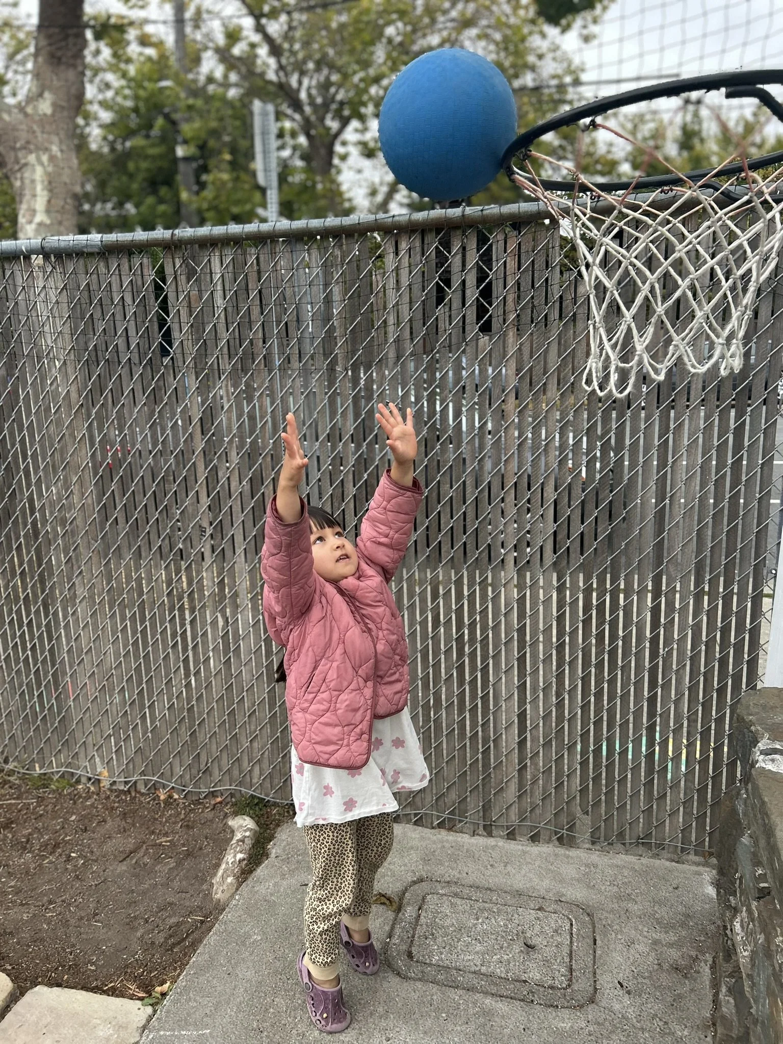 ZOE BASKETBALL.jpeg