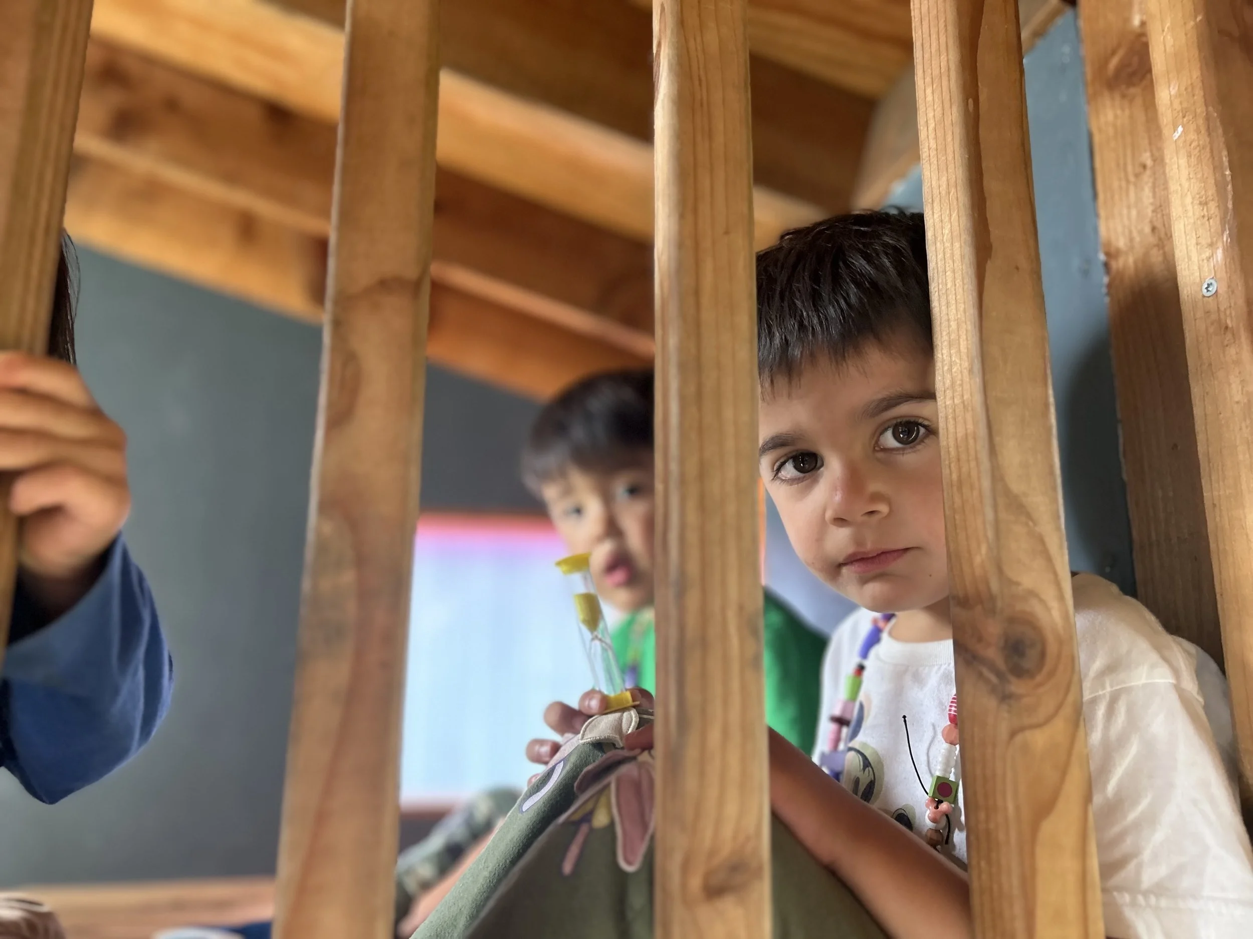 beautiful bhima.jpeg