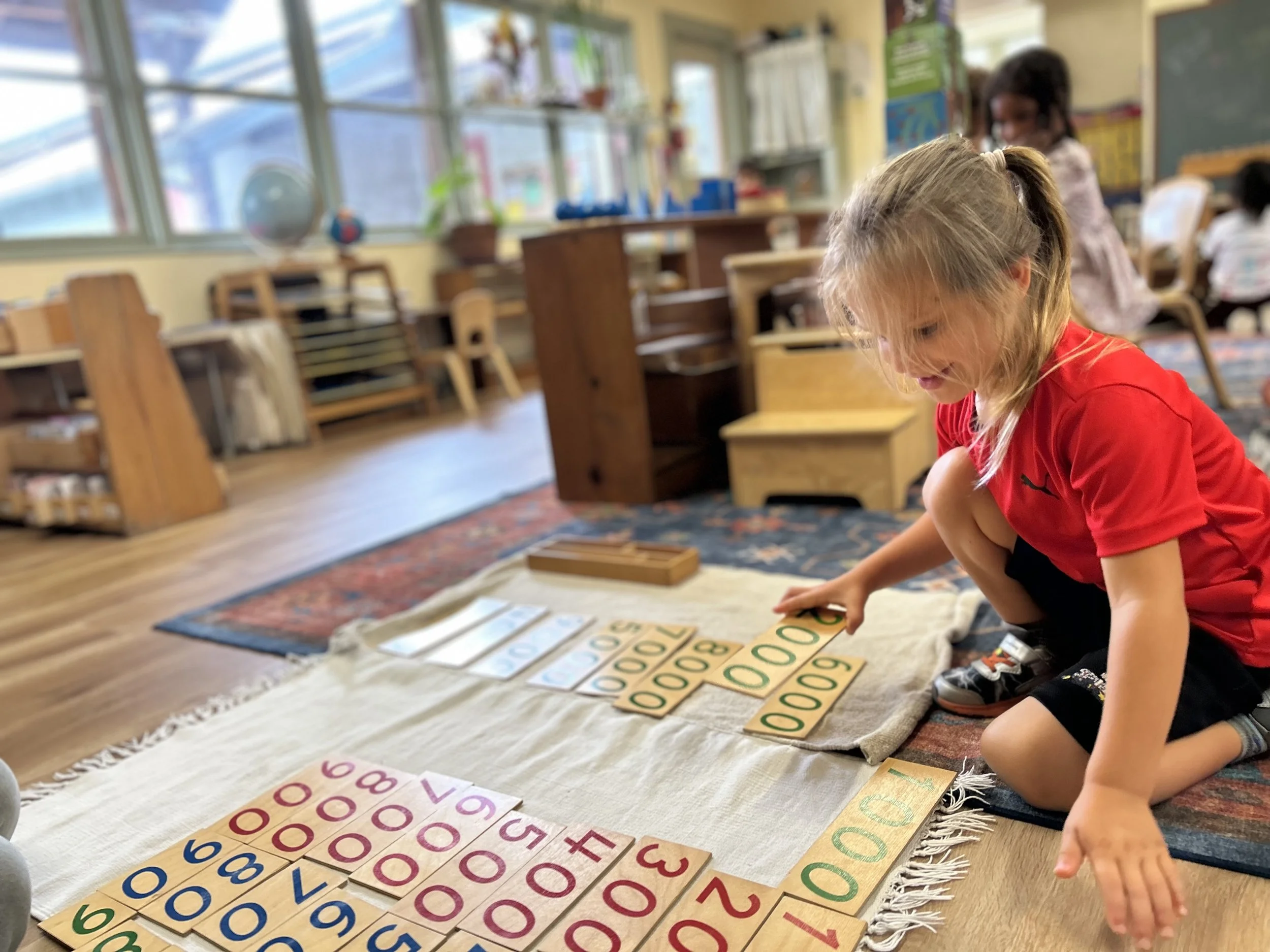 beautiful math luciano.jpeg