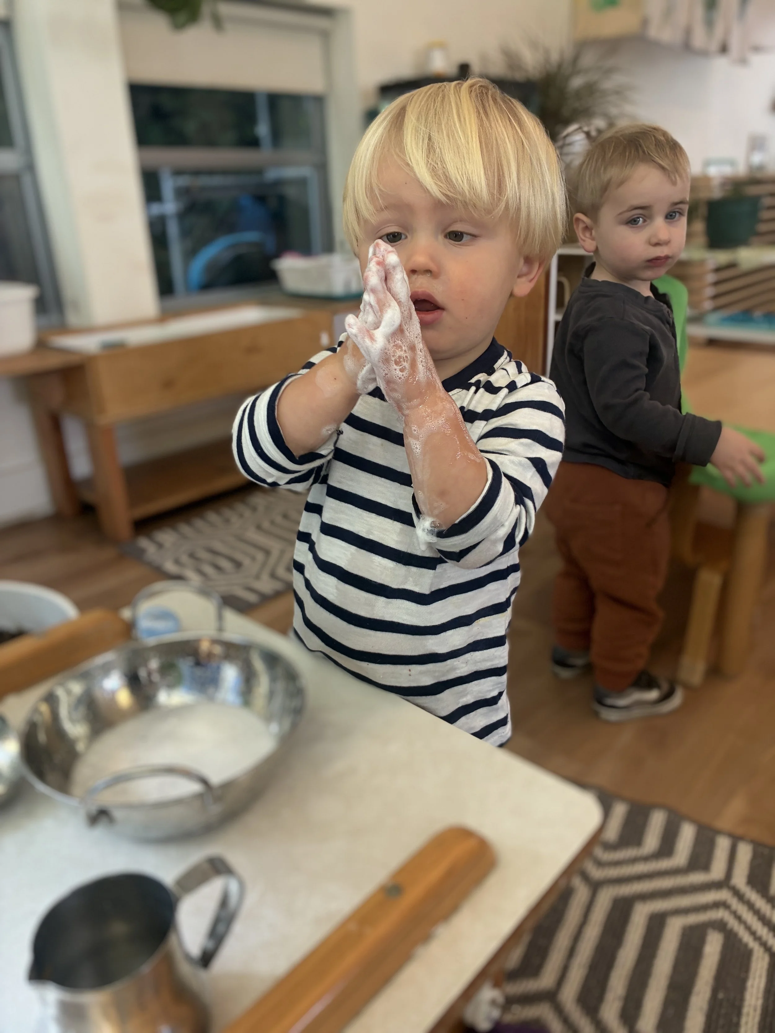 beautiful auggie hands washing.jpg