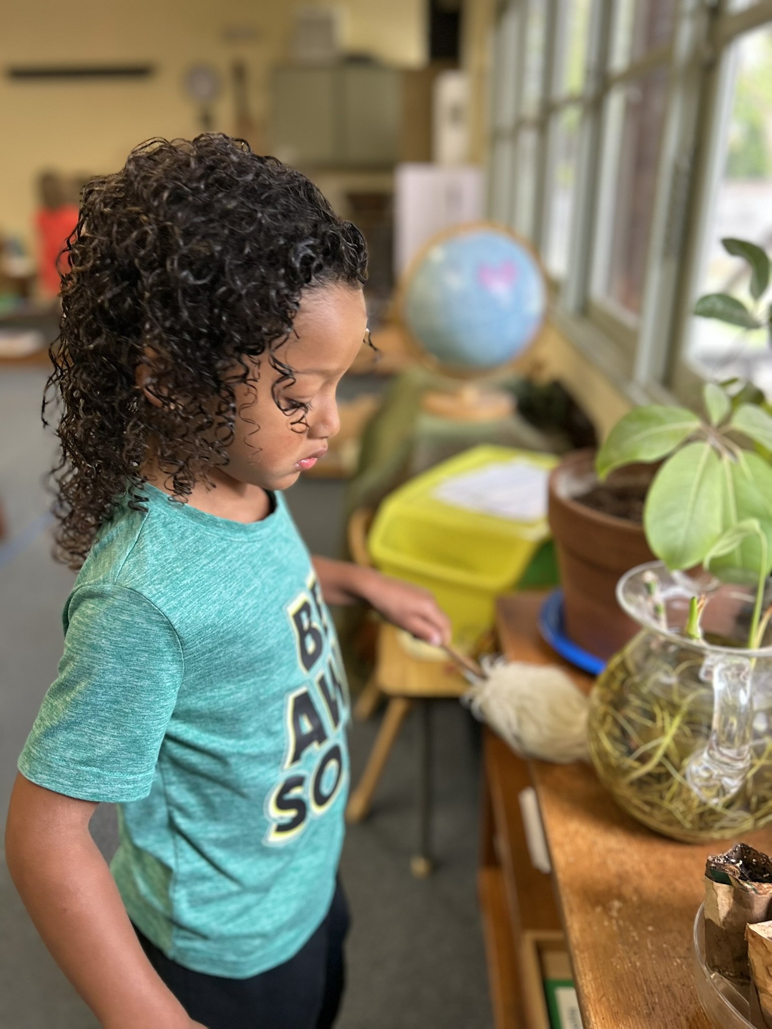 beautiful 2 anthony dusting.jpg