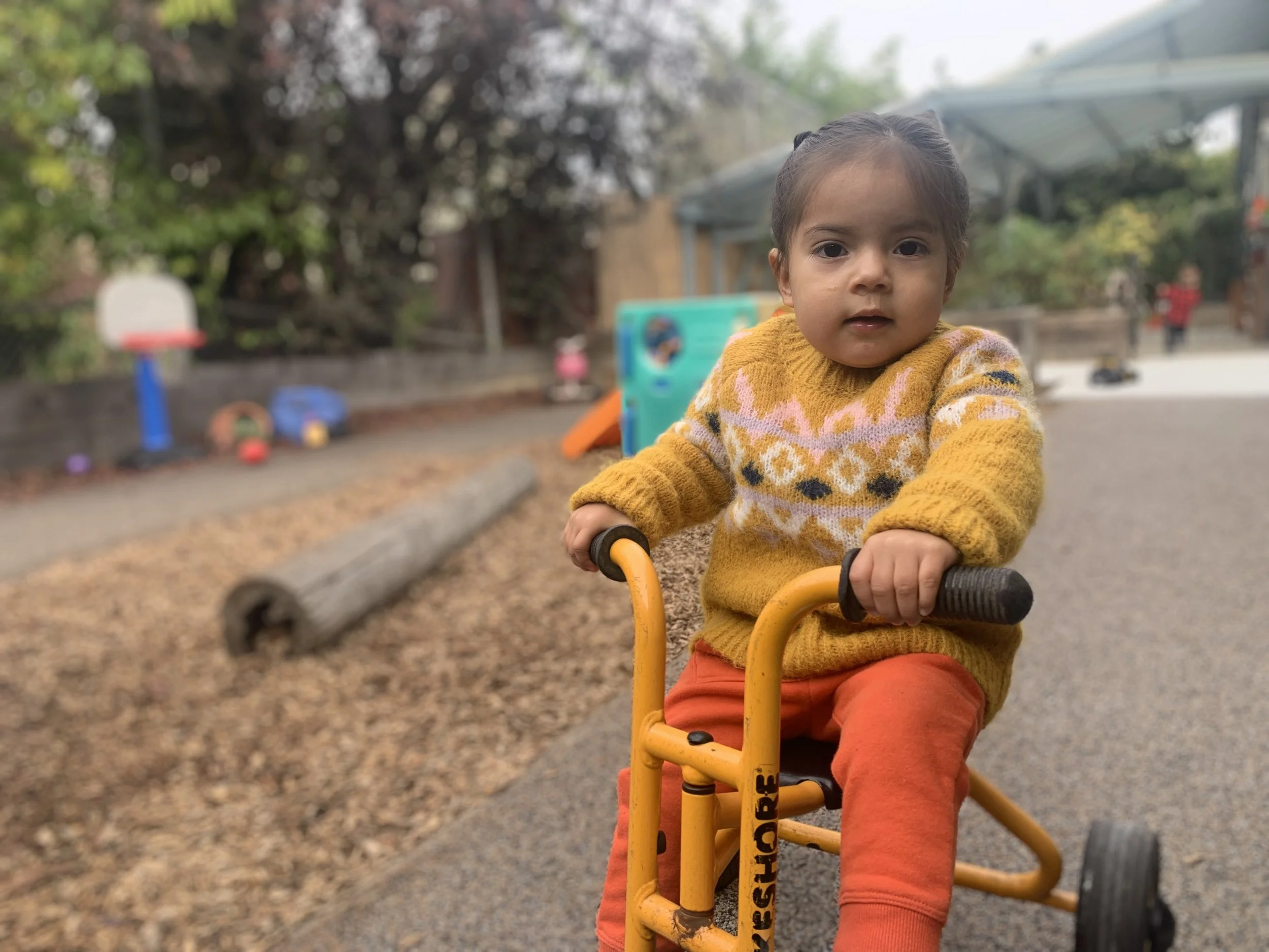 lucia bike .jpeg