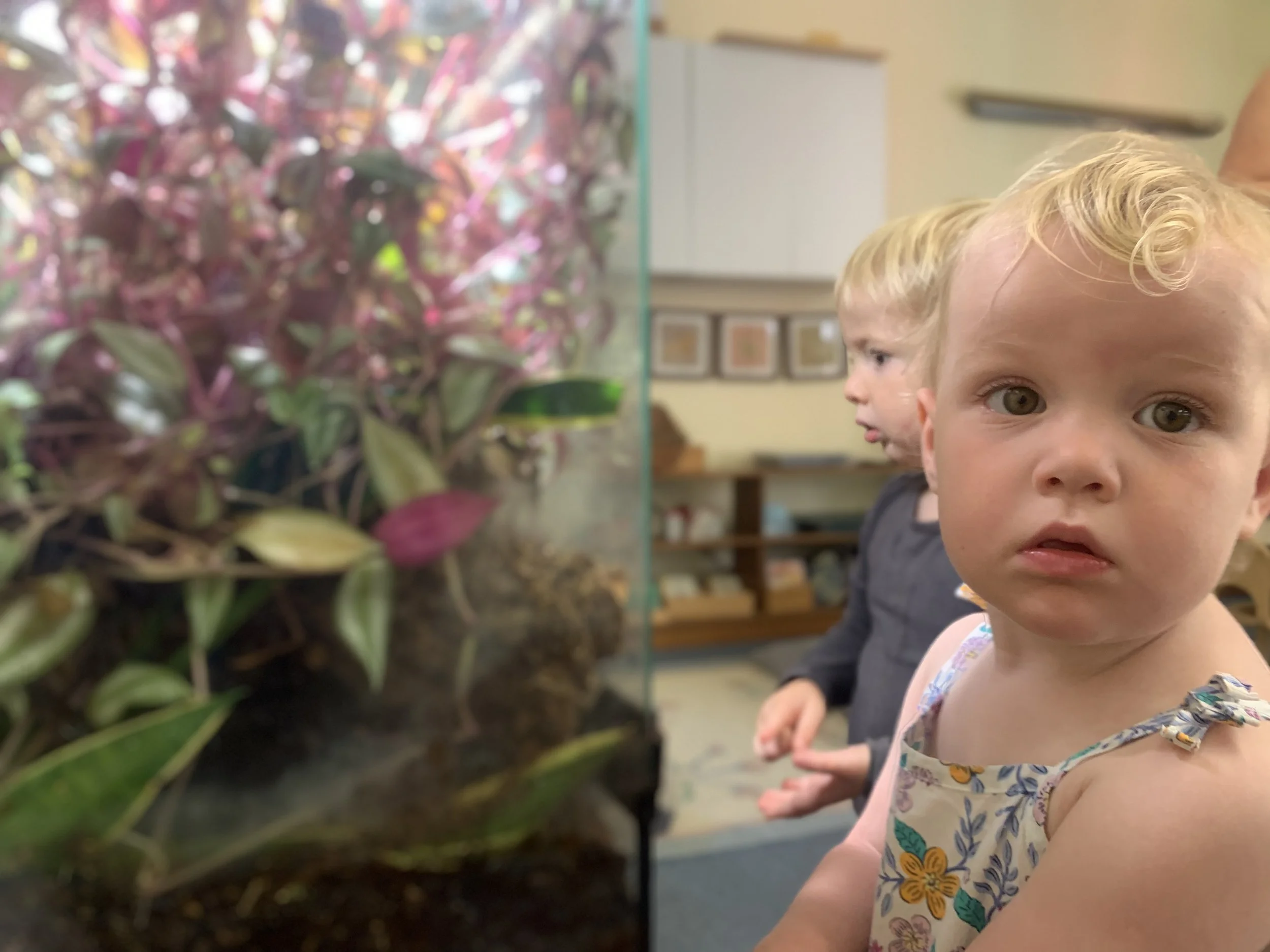 isla tate.jpg