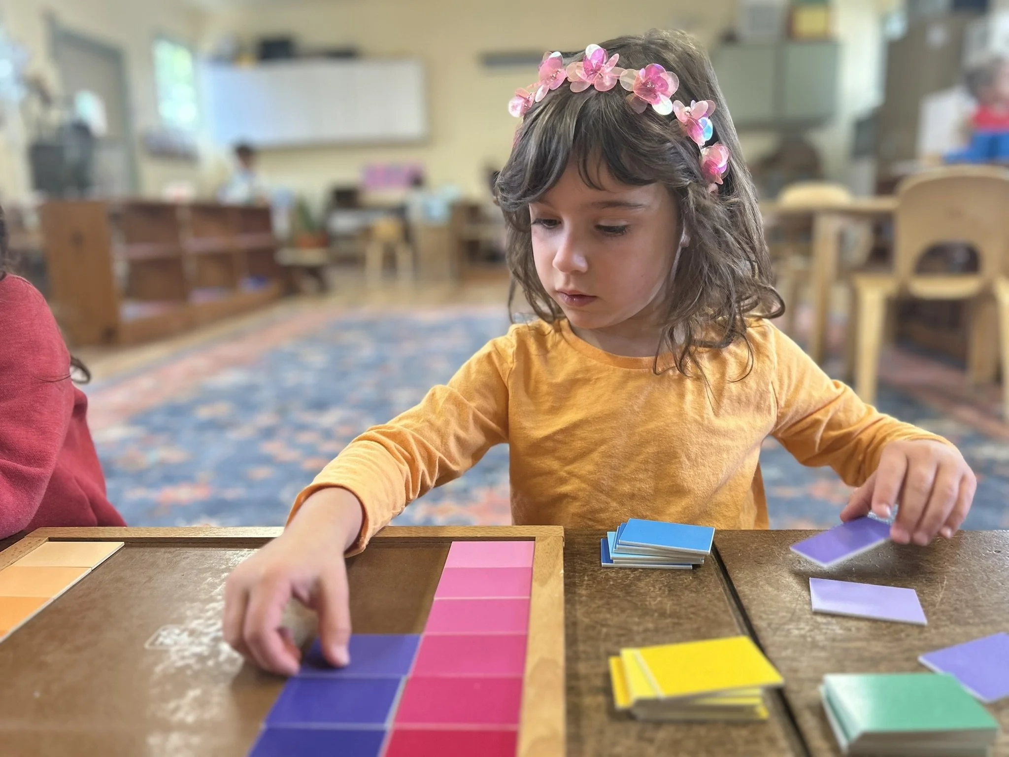 amaya color sorting.jpeg