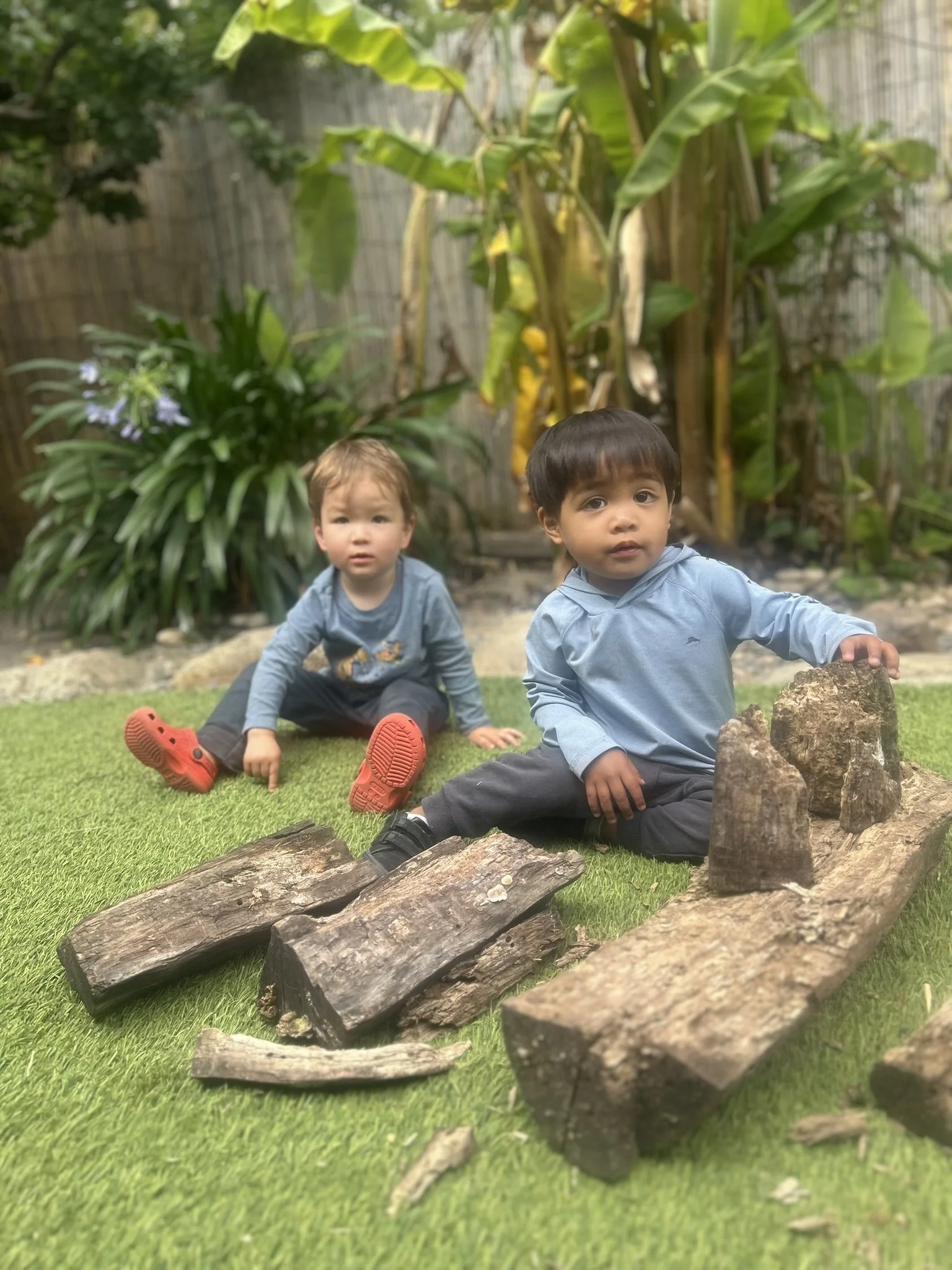 beautiful theo ren wood yard.jpeg