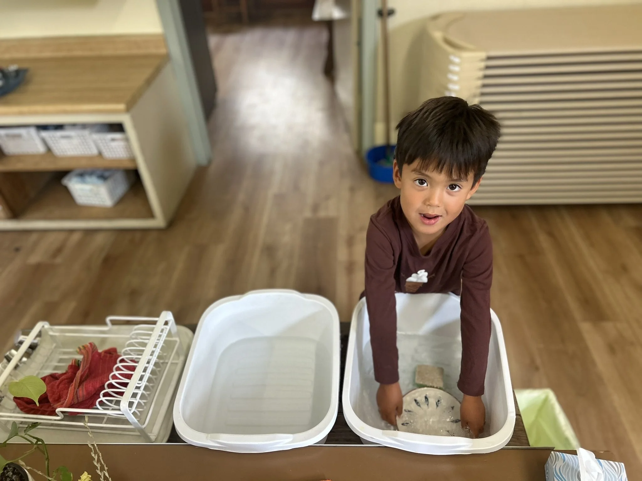 theo dishwashing.jpeg