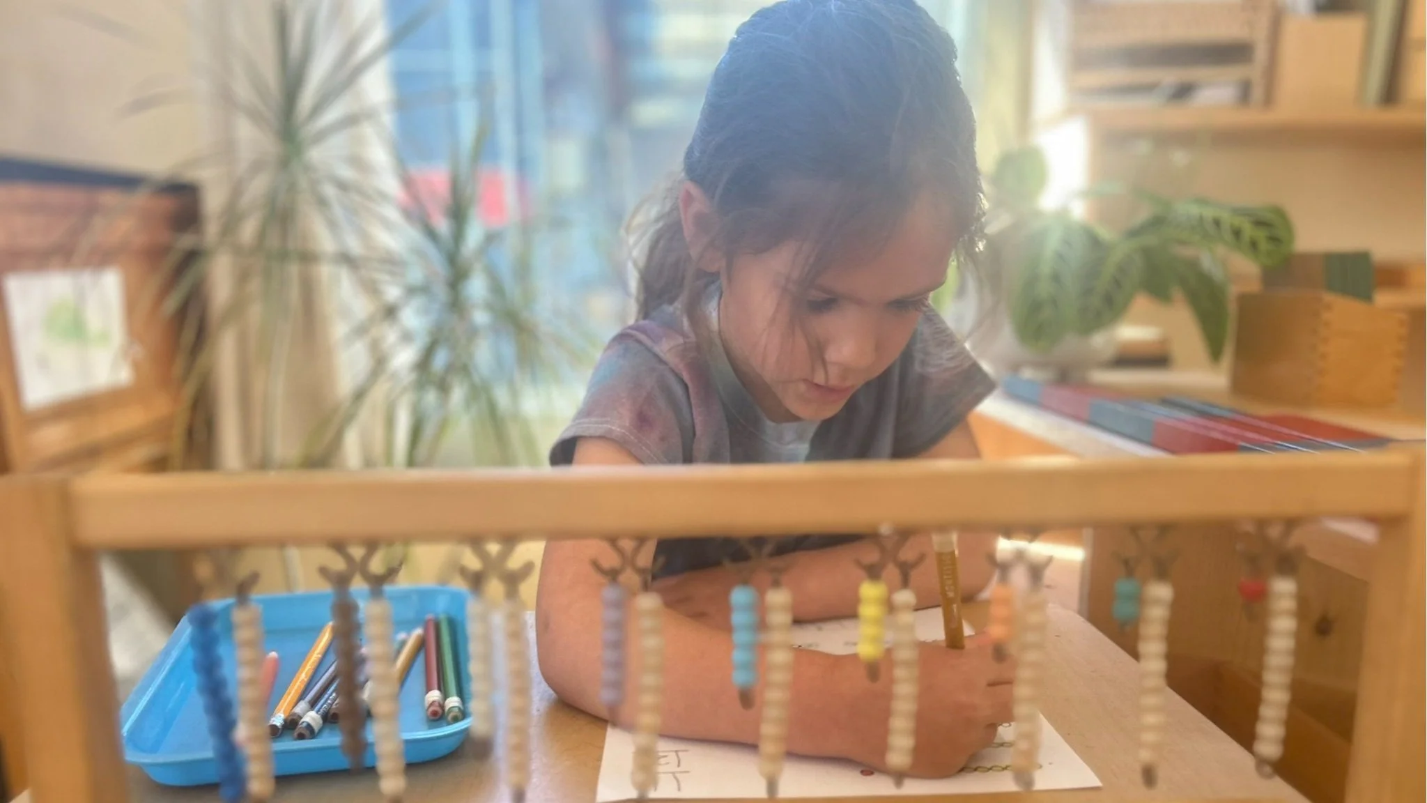 beautiful carmelita math.jpg