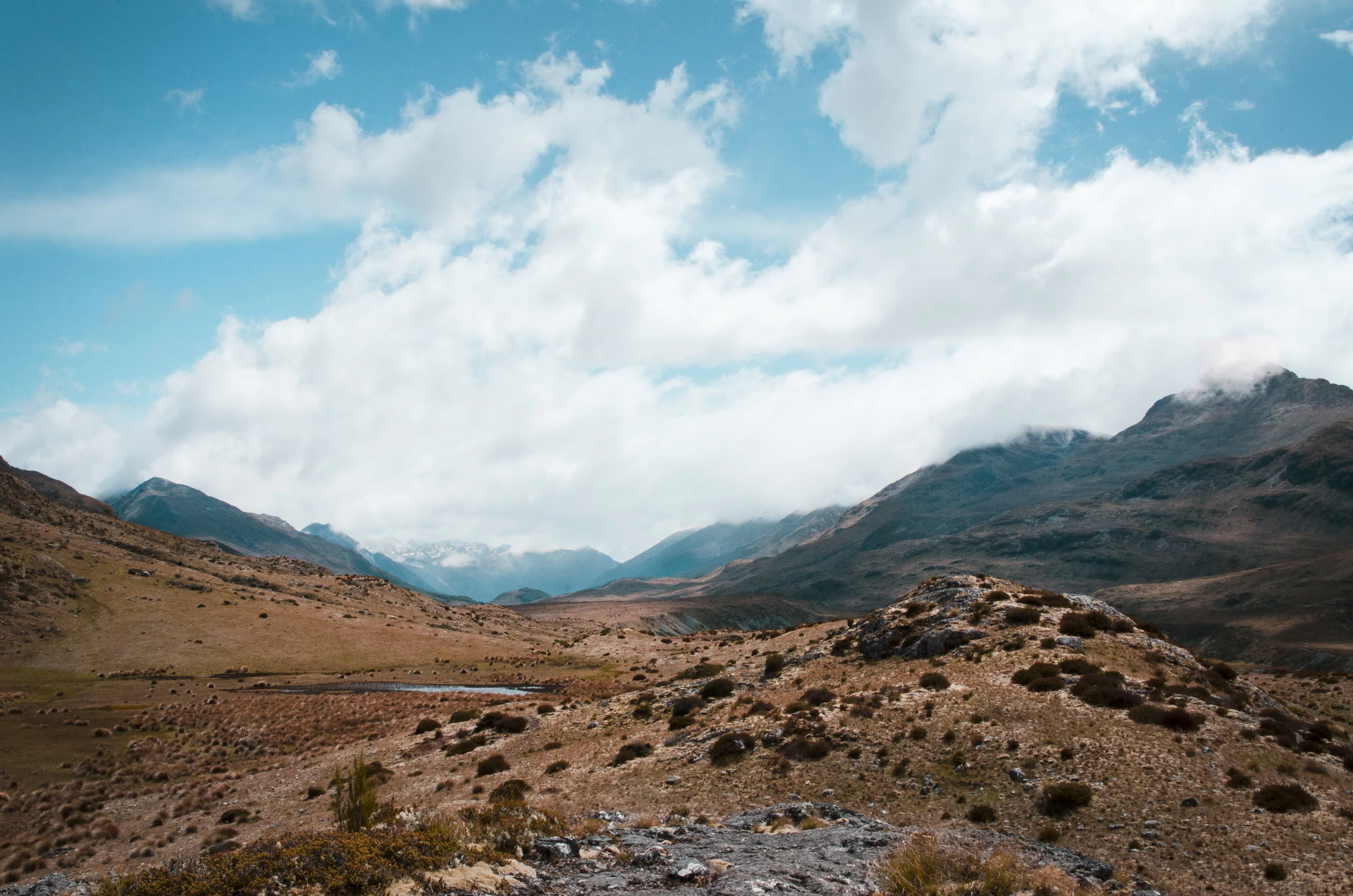 CSP_3915(edit).jpg