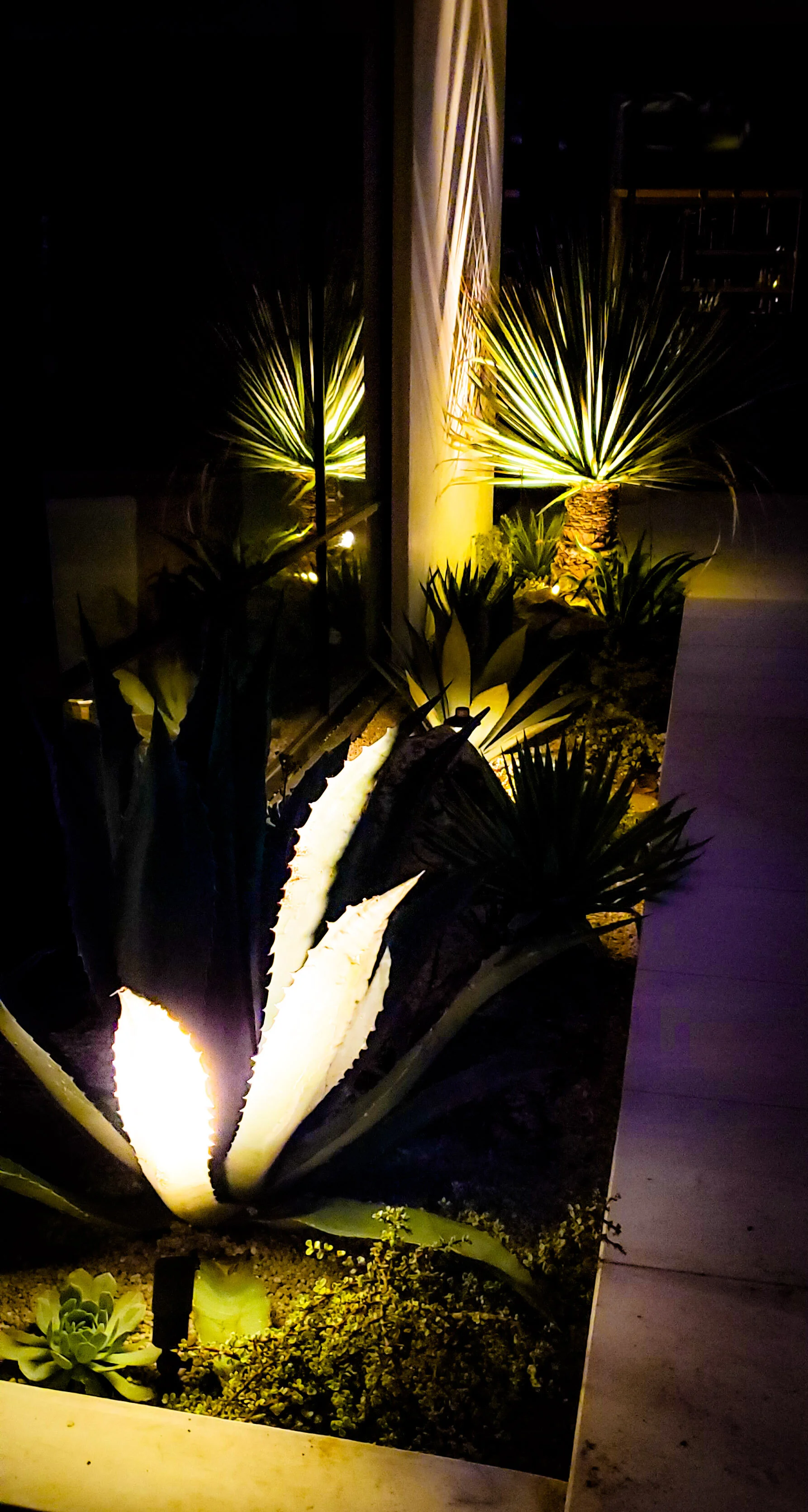 Mote Planter Nites