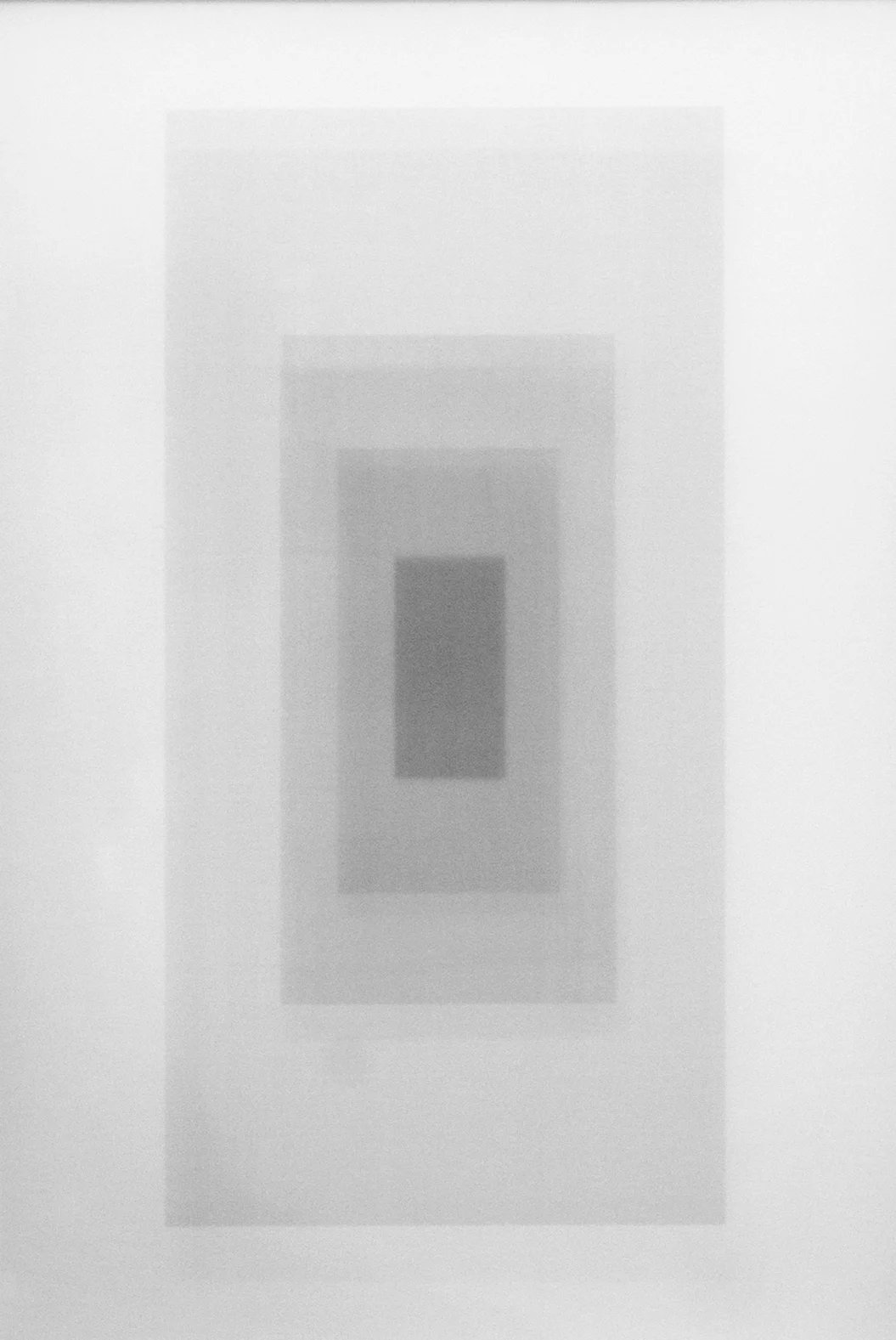 Sebastian Ingram / Untitled / 2016 / Laser print on acetate