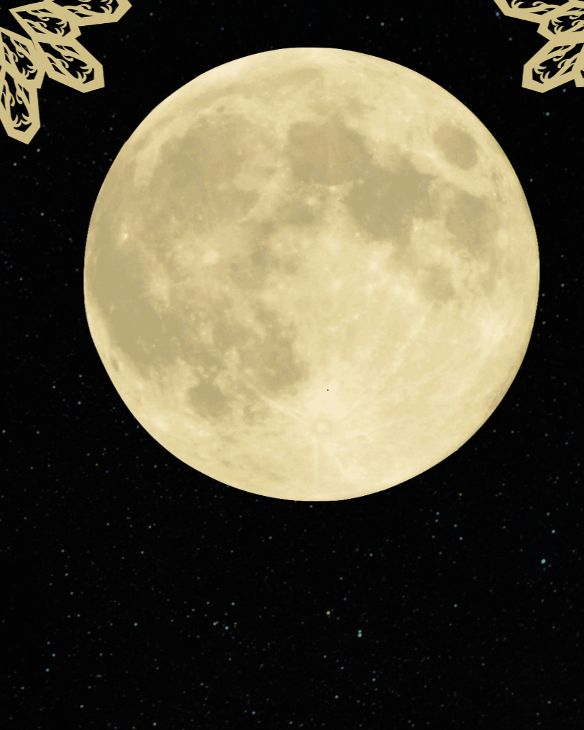   Lunar Energetics Immersion   Aug.28th.   More info  