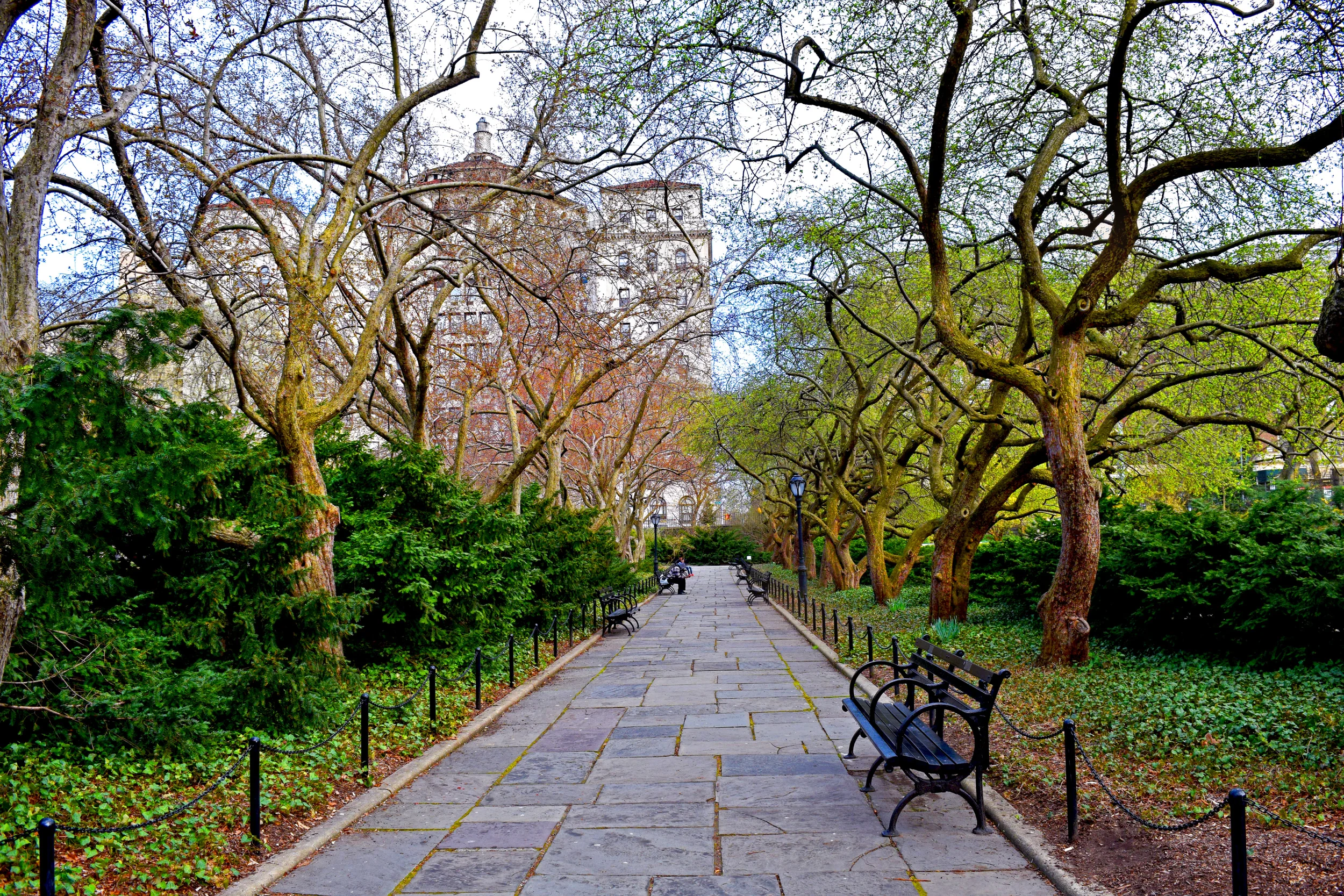 tree tunnel.jpg