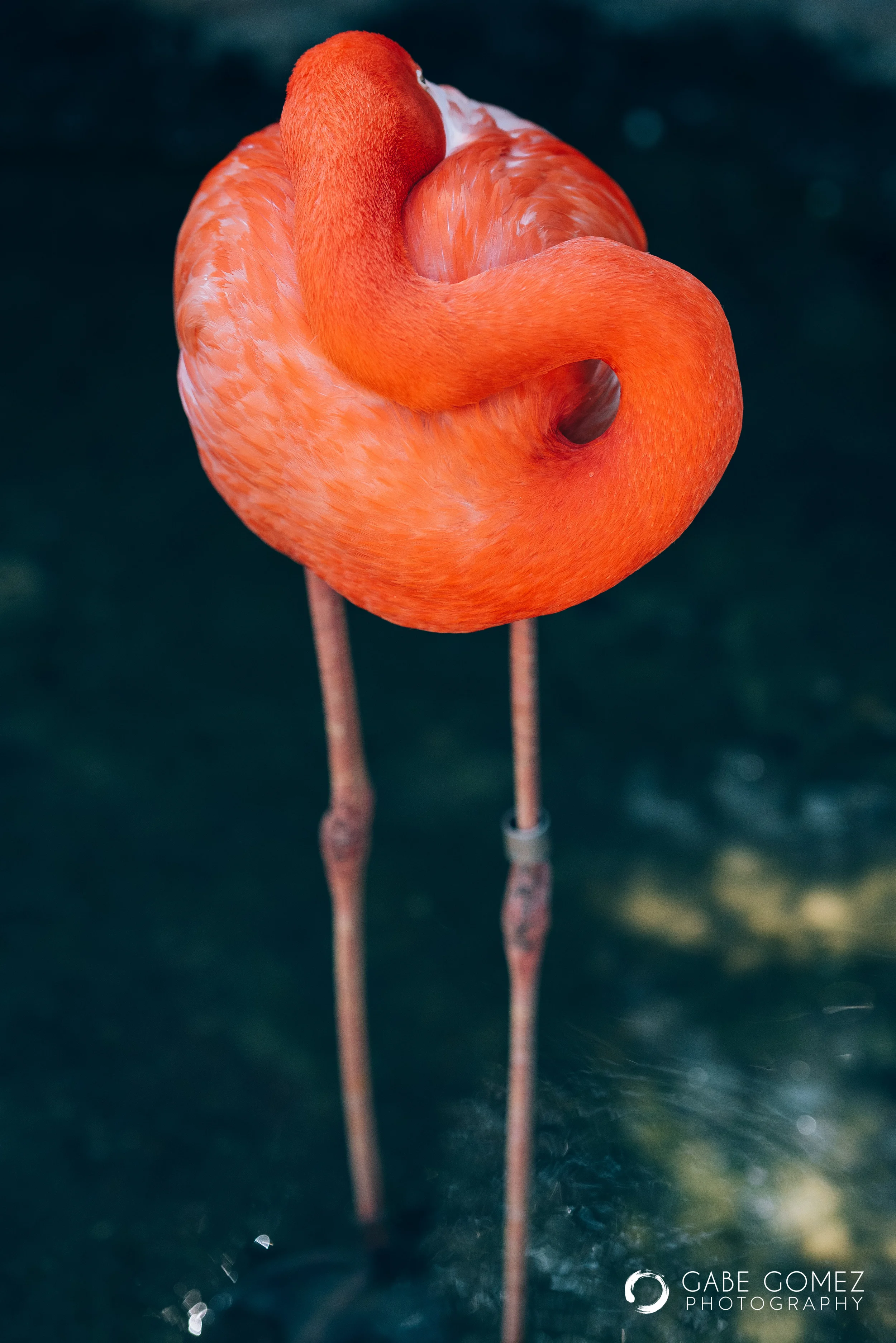 Bird Sanctuary-3.jpg