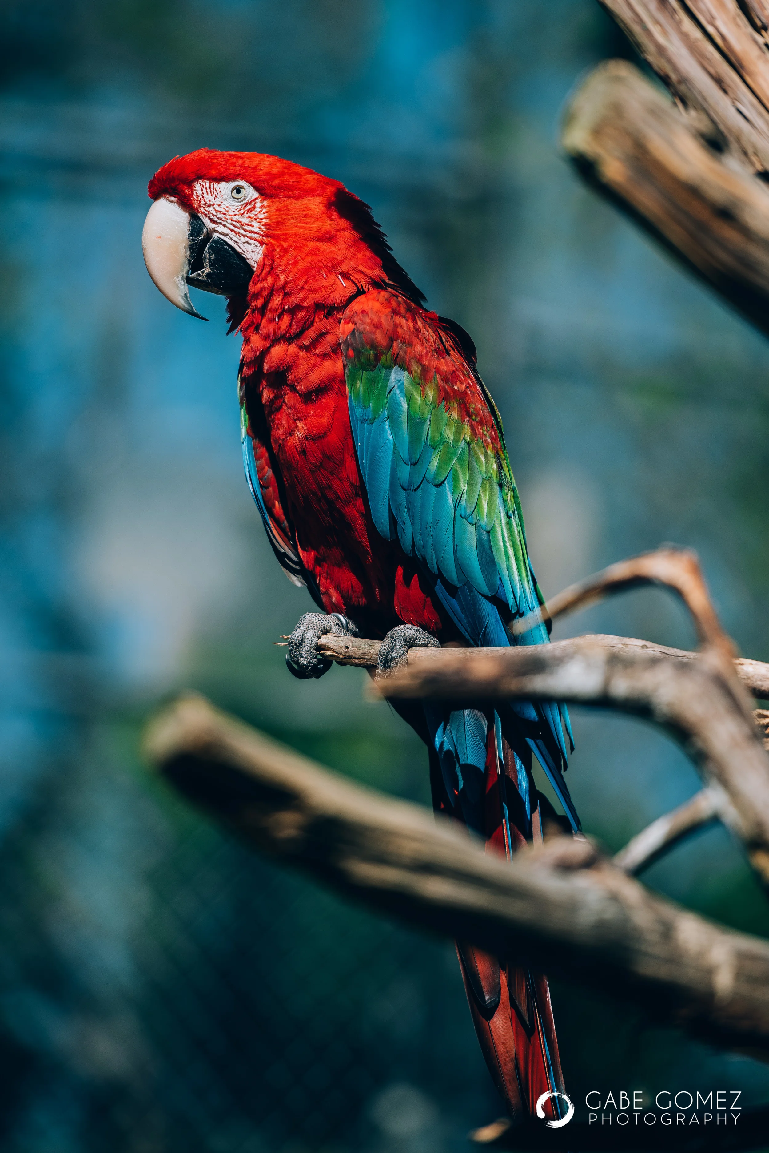 Bird Sanctuary-8.jpg