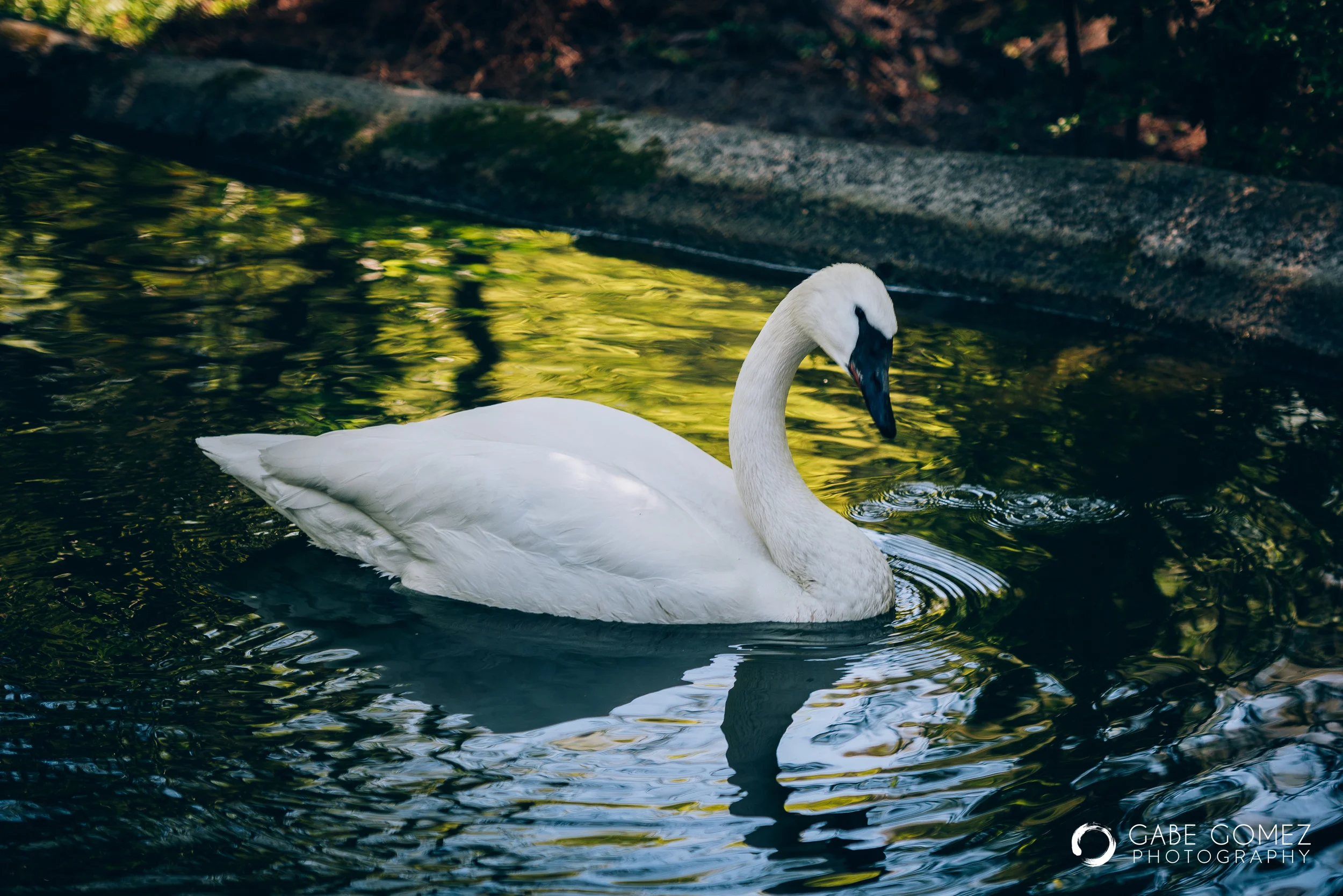 Bird Sanctuary-15.jpg