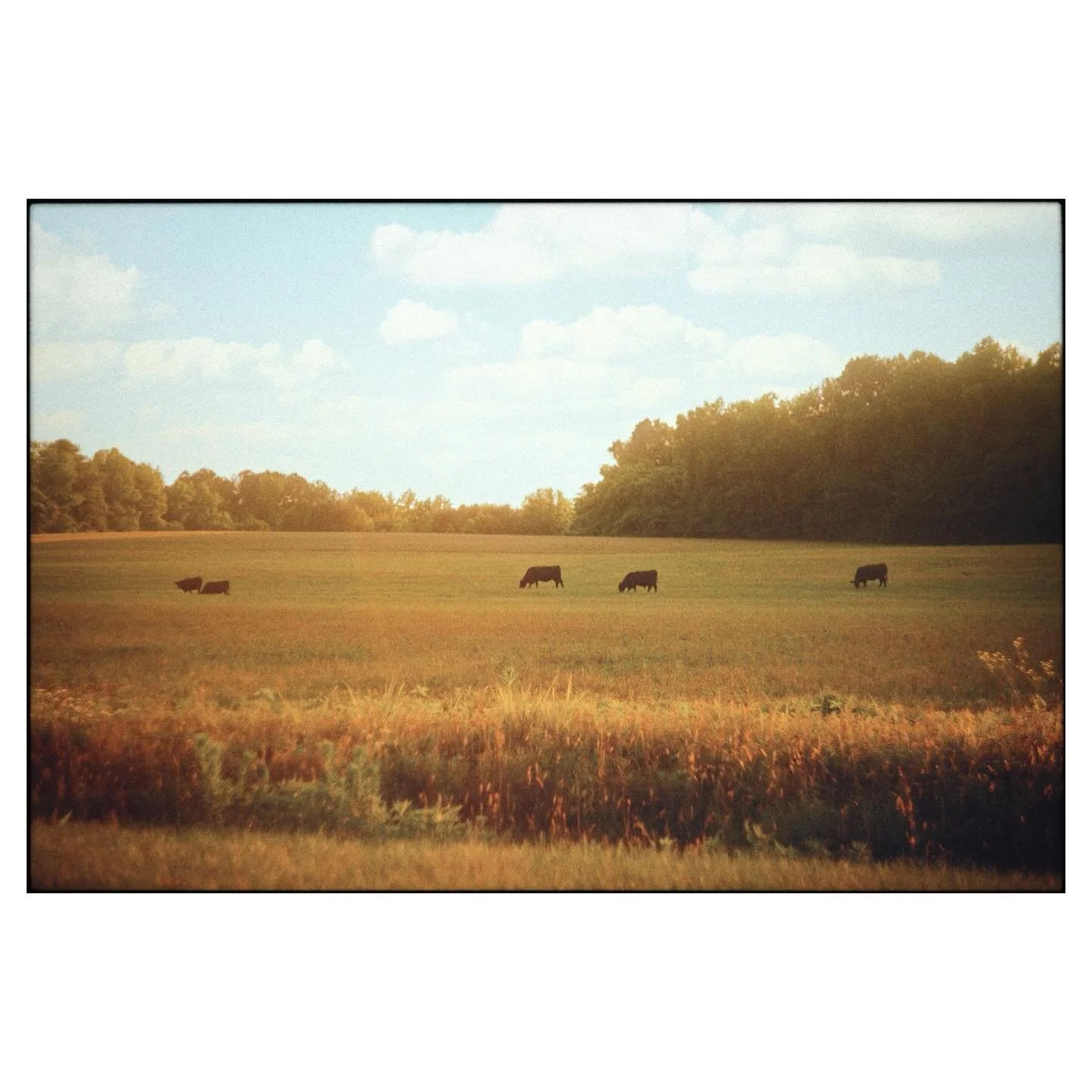 Had to drive 6 hours to buy a desk that matches my bedroom set from the 70s. Decided to take back roads the whole way, stopping to take pictures of small town, rural America. So many gems and beautiful old houses along the way. Even ended up making f