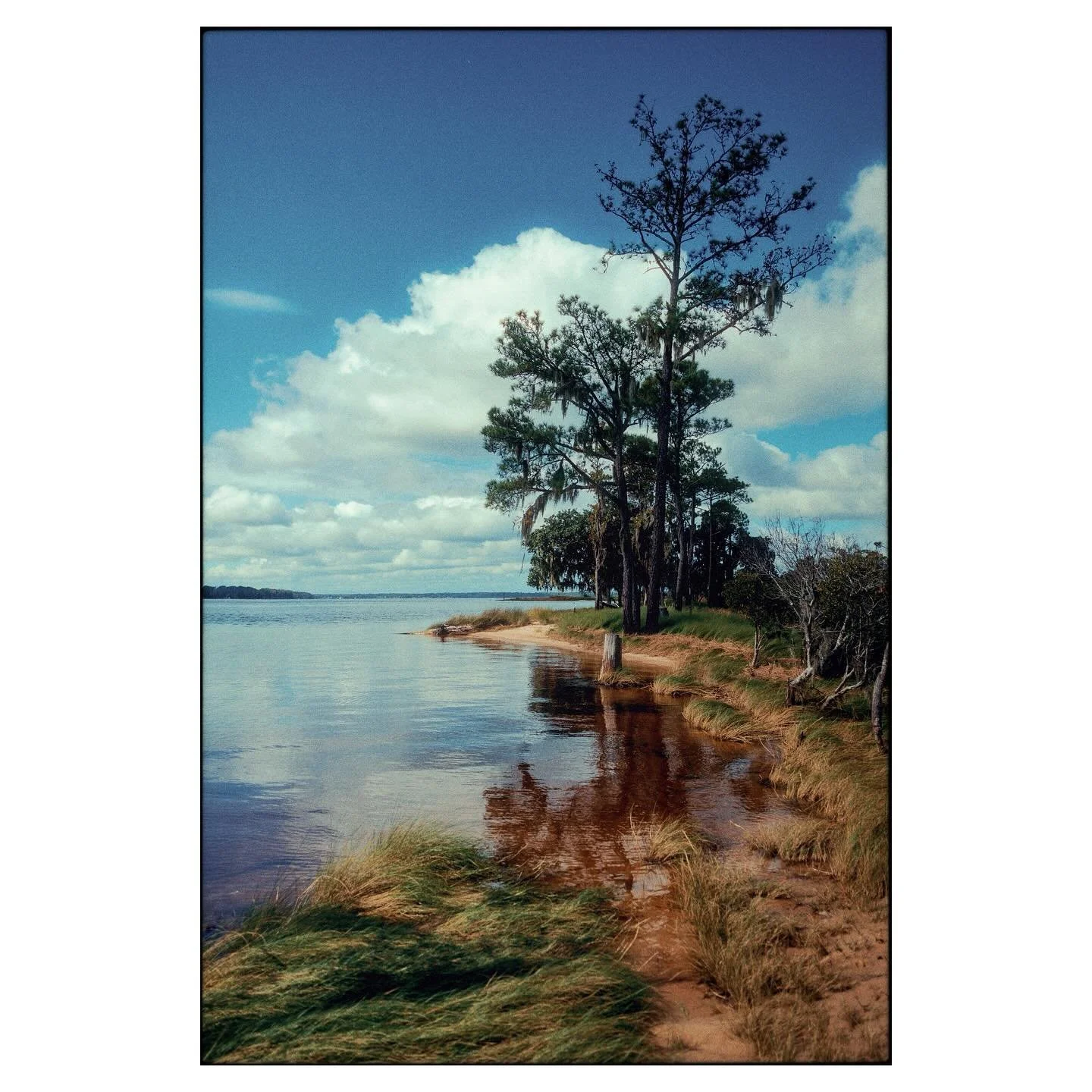 Finding peace by the water this past week camping in North Carolina. There&rsquo;s something about the stillness and raw beauty of these landscapes that makes everything slow down. Grateful for the time to disconnect and capture moments like these. #